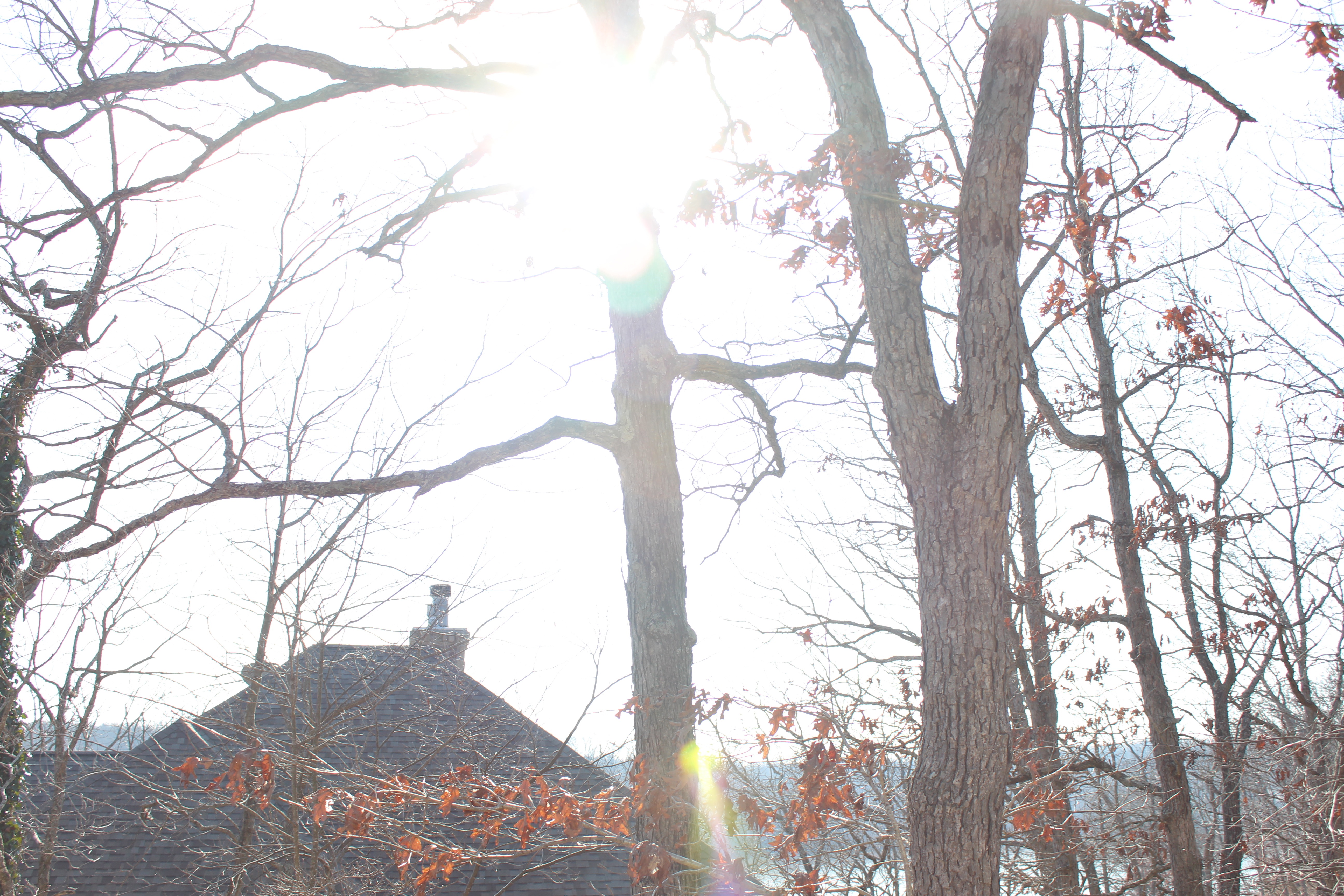 New Years Eve at the Lake | OOTD by Lauren Lindmark on Daily Dose of Charm