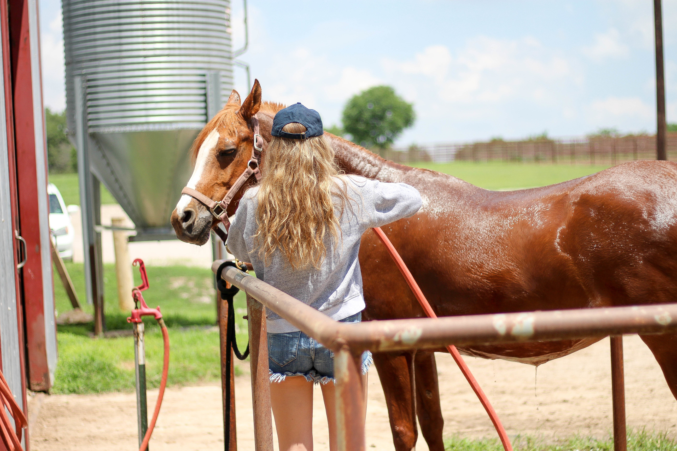 Horse back riding, horse and girl, horses, sorority hat, barn outfit, by lauren lindmark on daily dose of charm