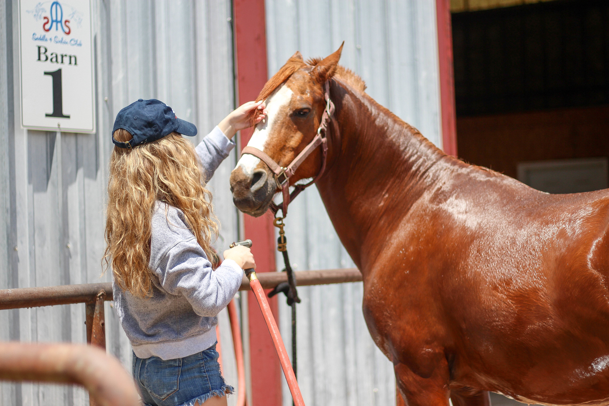 Horse back riding, horse and girl, horses, sorority hat, barn outfit, by lauren lindmark on daily dose of charm