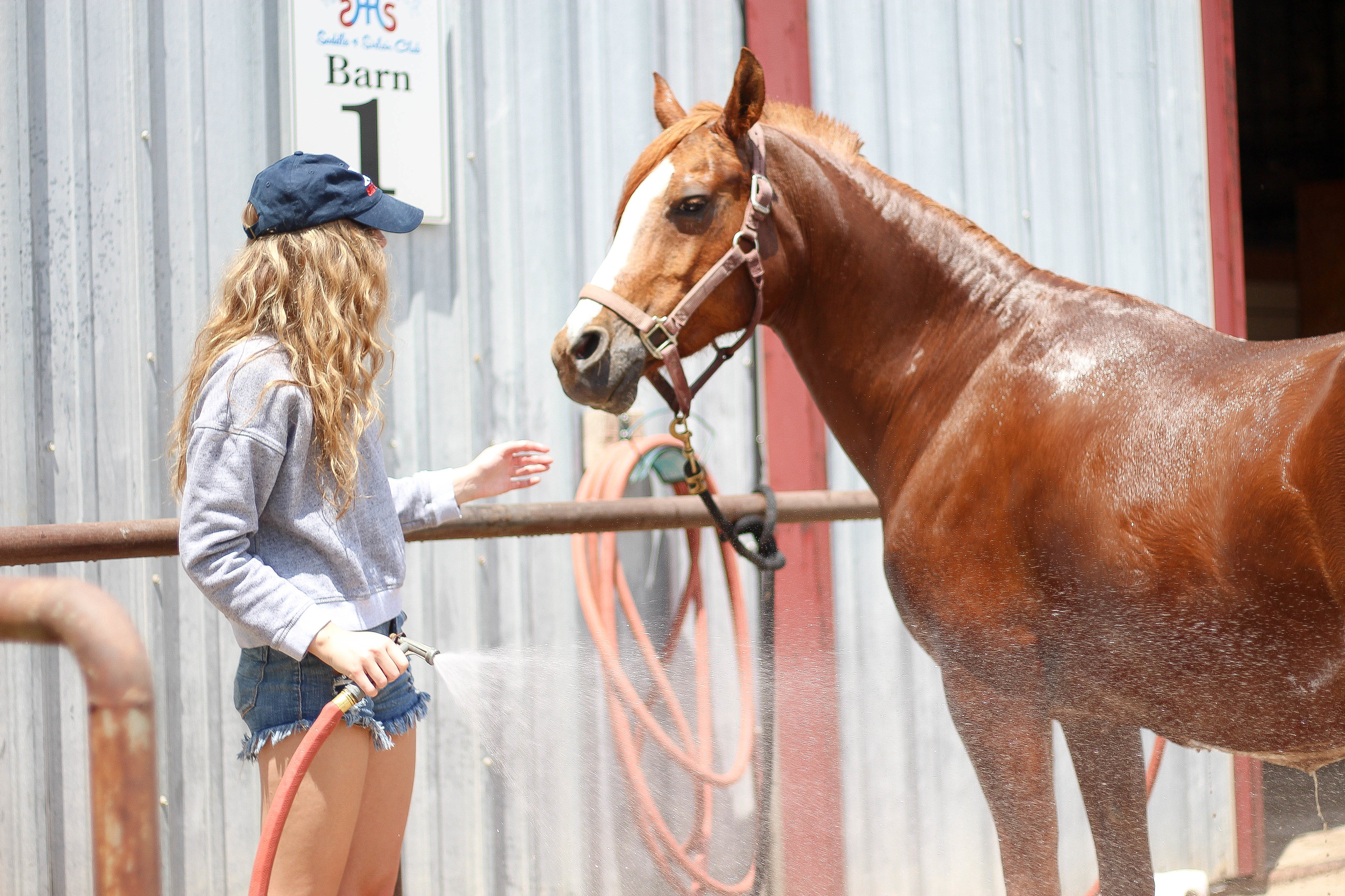 Horse back riding, horse and girl, horses, sorority hat, barn outfit, by lauren lindmark on daily dose of charm