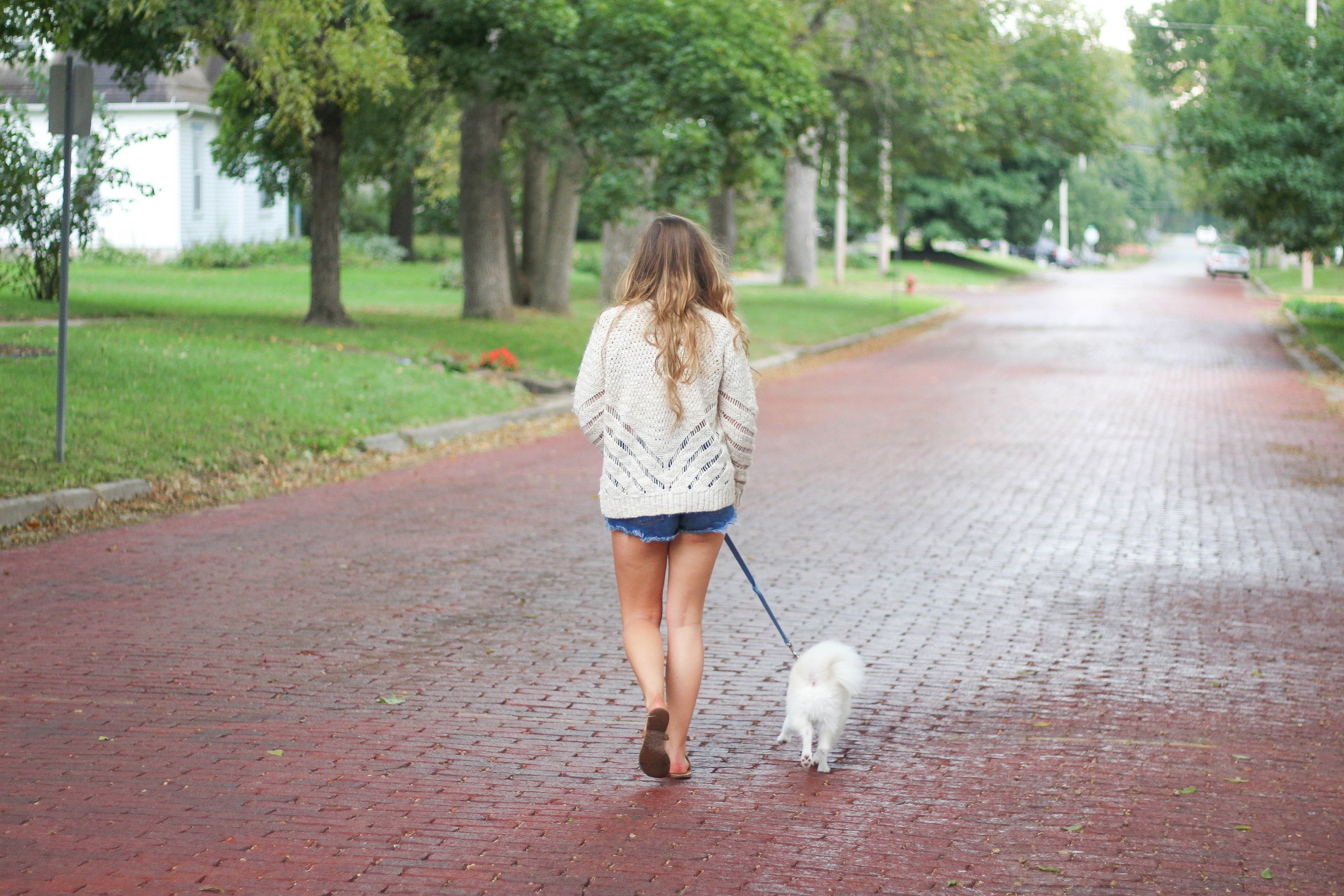 Rainy Days are the best days for SWEATERS!! by Lauren Lindmark on Daily Dose of Charm