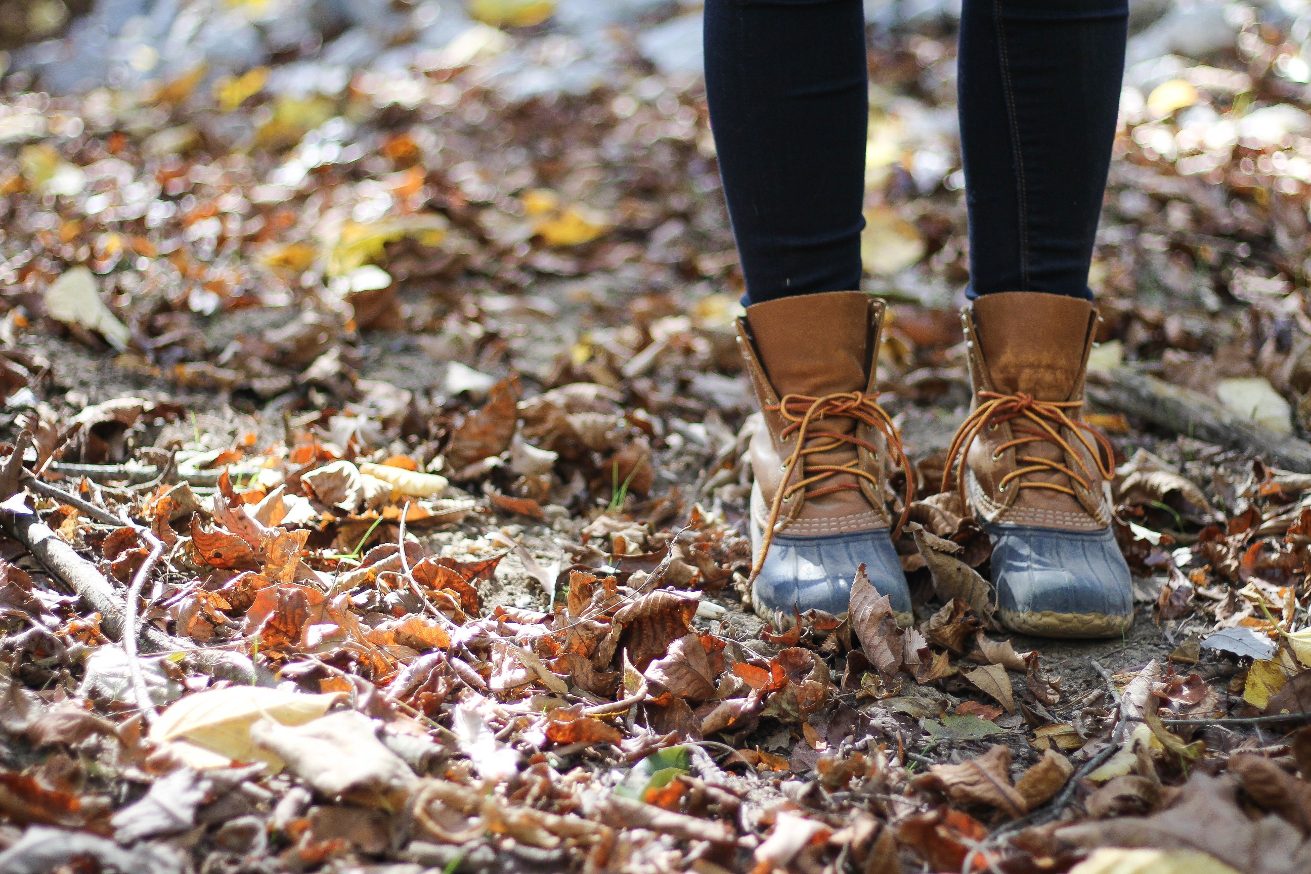 Fall Weekend at the farm autumn leaves and trees DJI Phantom 3 advanced video and Outfit of the day! By lauren lindmark on dailydoseofcharm.com lauren lindmark