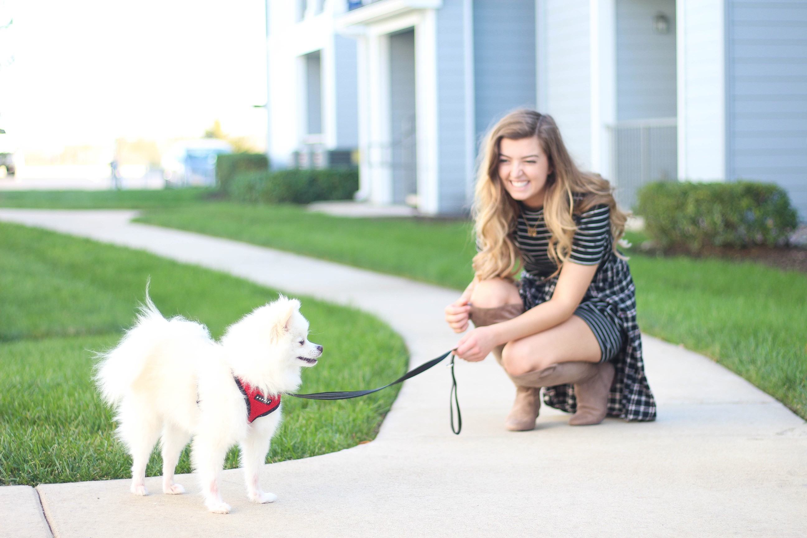 Flannel tied around a dress fall outfit on the blog dailydoseofcharm.com by Lauren Lindmark