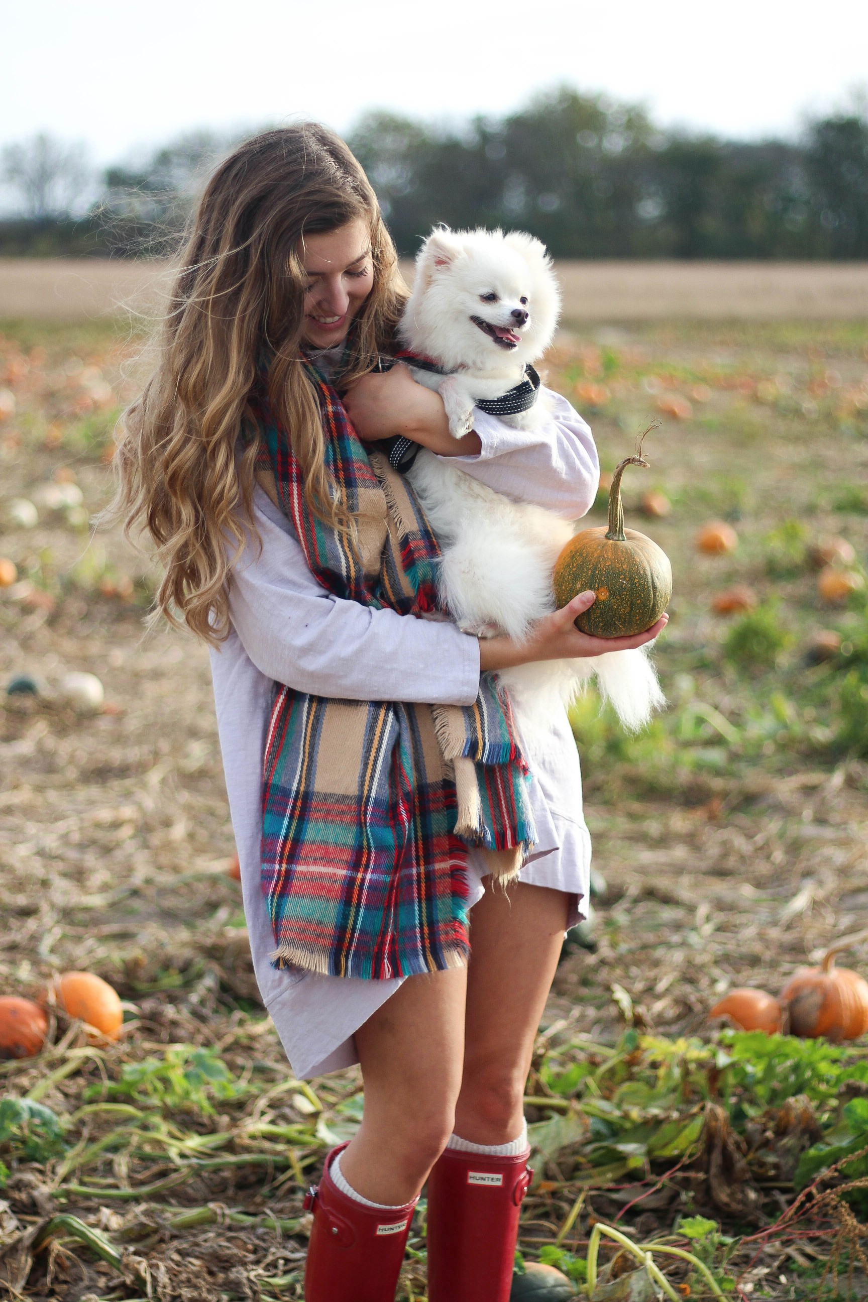 Pumpkin Patch OOTD and trying pumpkin spice foods (VIDEO) on daily dose of charm by lauren lindmark