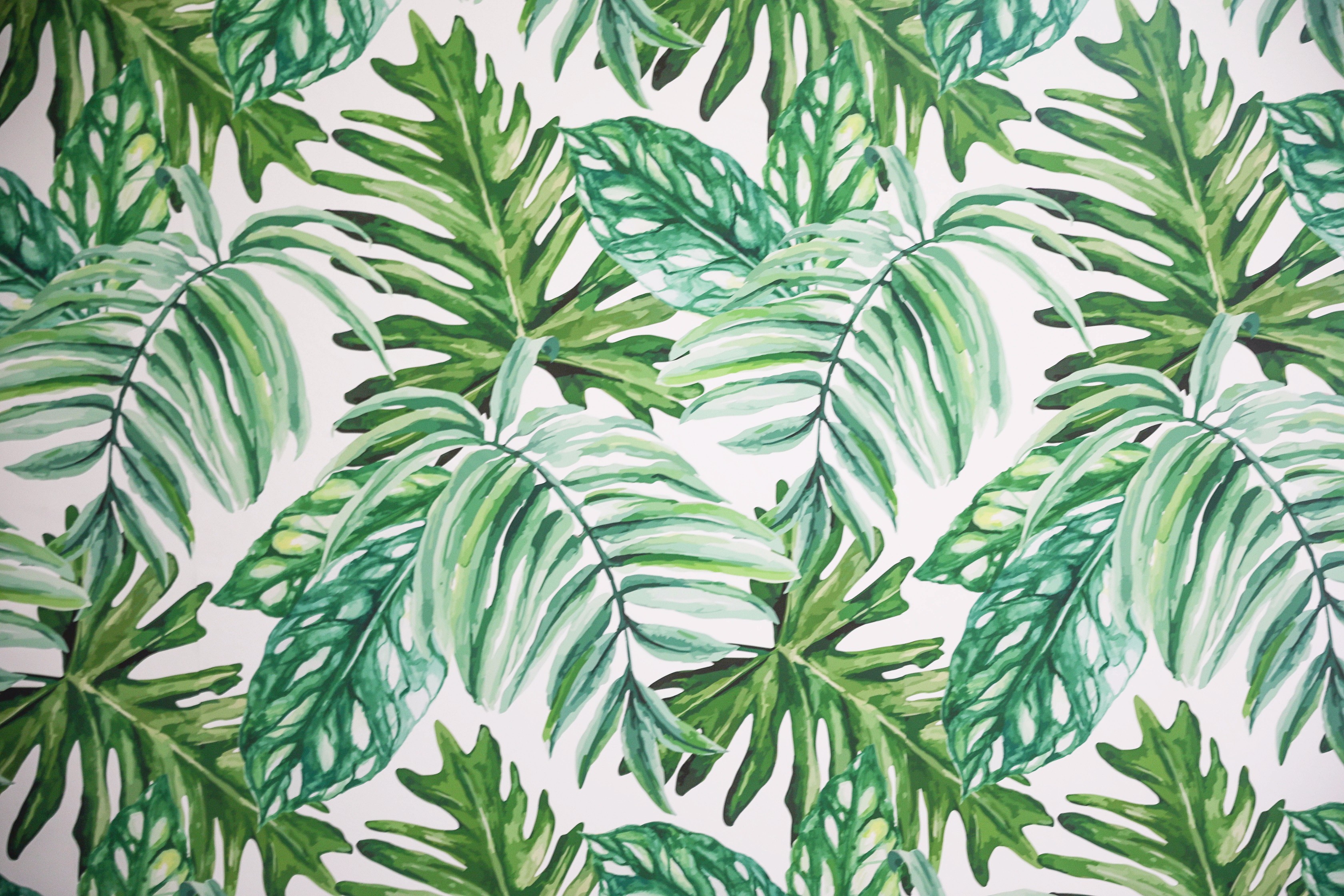 Palm Leaf Temporary Wallpaper | + VIDEO | Daily Dose of Charm