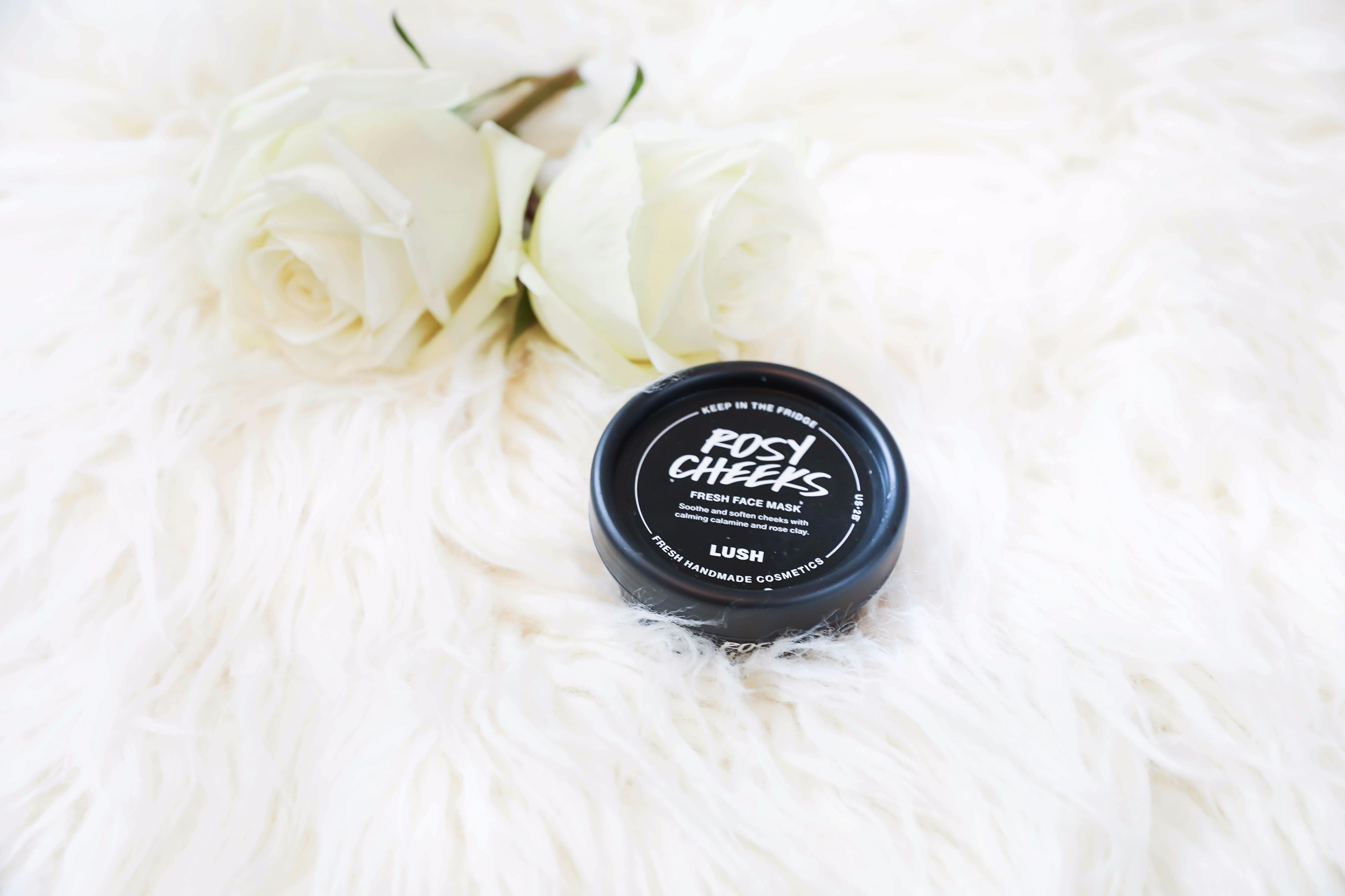 October beauty favorites! LUSH face mask! Beauty flatlay! Details on daily dose of charm by lauren lindmark