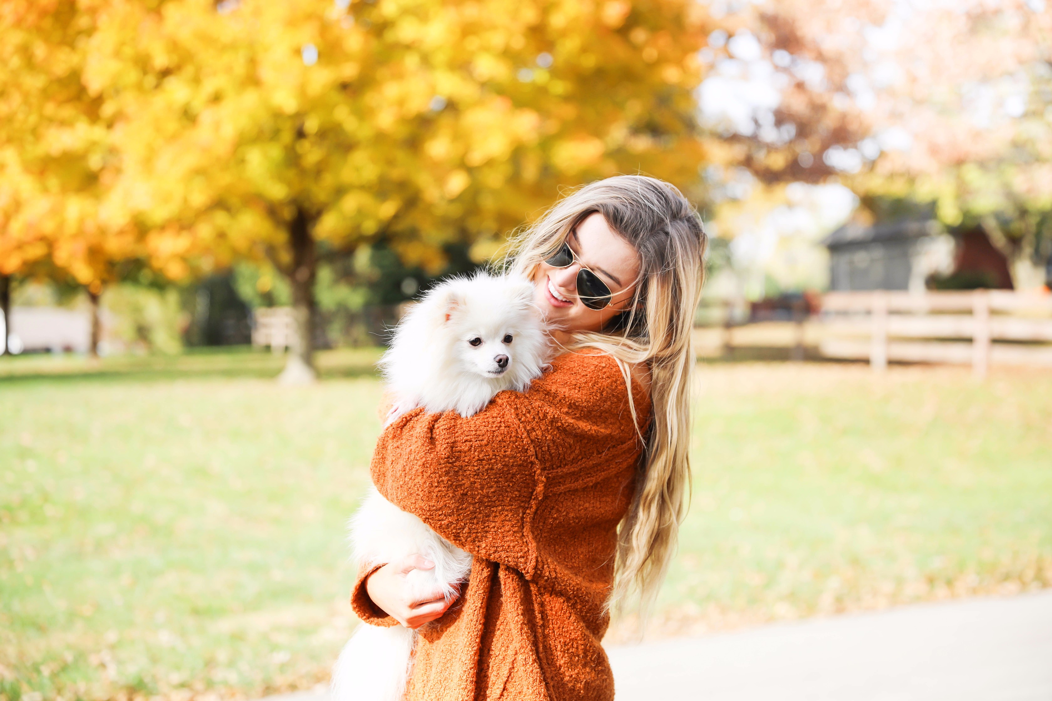 Pomeranian in the fall! Burnt orange soft free people sweater paired with frye boots and cable knit socks. Fall fashion inspiration! Get details on daily dose of charm fashion blog lauren lindmark