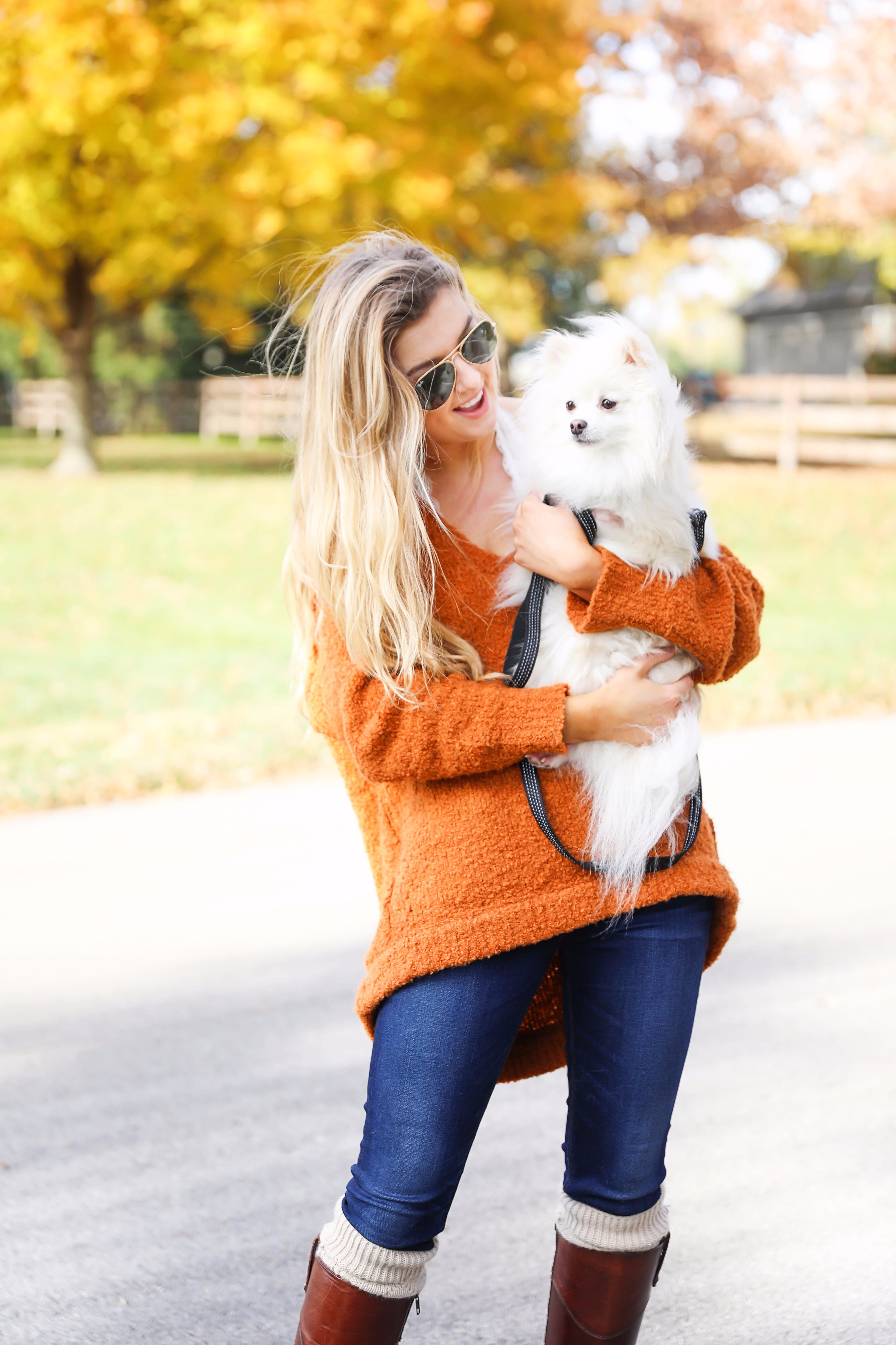 Pomeranian in the fall! Burnt orange soft free people sweater paired with frye boots and cable knit socks. Fall fashion inspiration! Get details on daily dose of charm fashion blog lauren lindmark