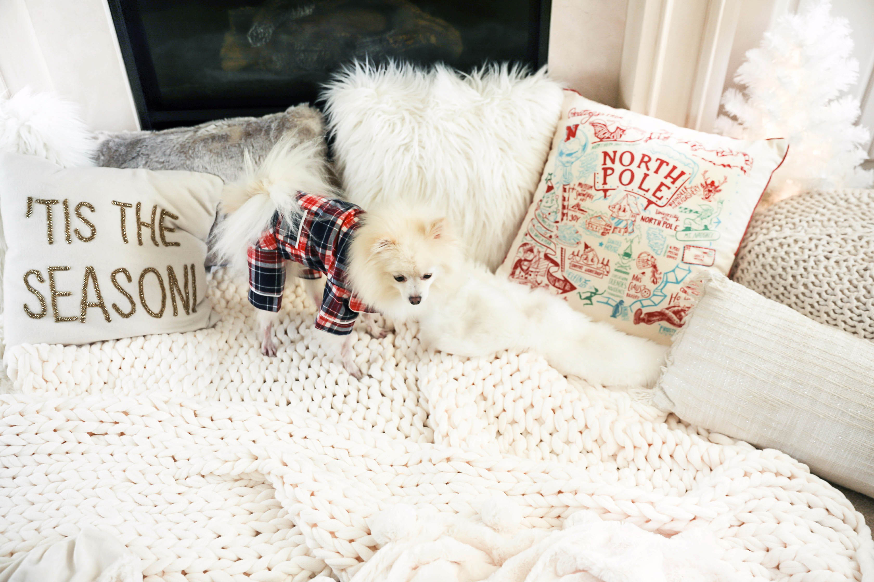 Matching pajamas with dog! Cute plaid matching pajamas with my white pomeranian! The cutest Pomeranian christmas photos! Details on fashion blog daily dose of charm by lauren lindmark