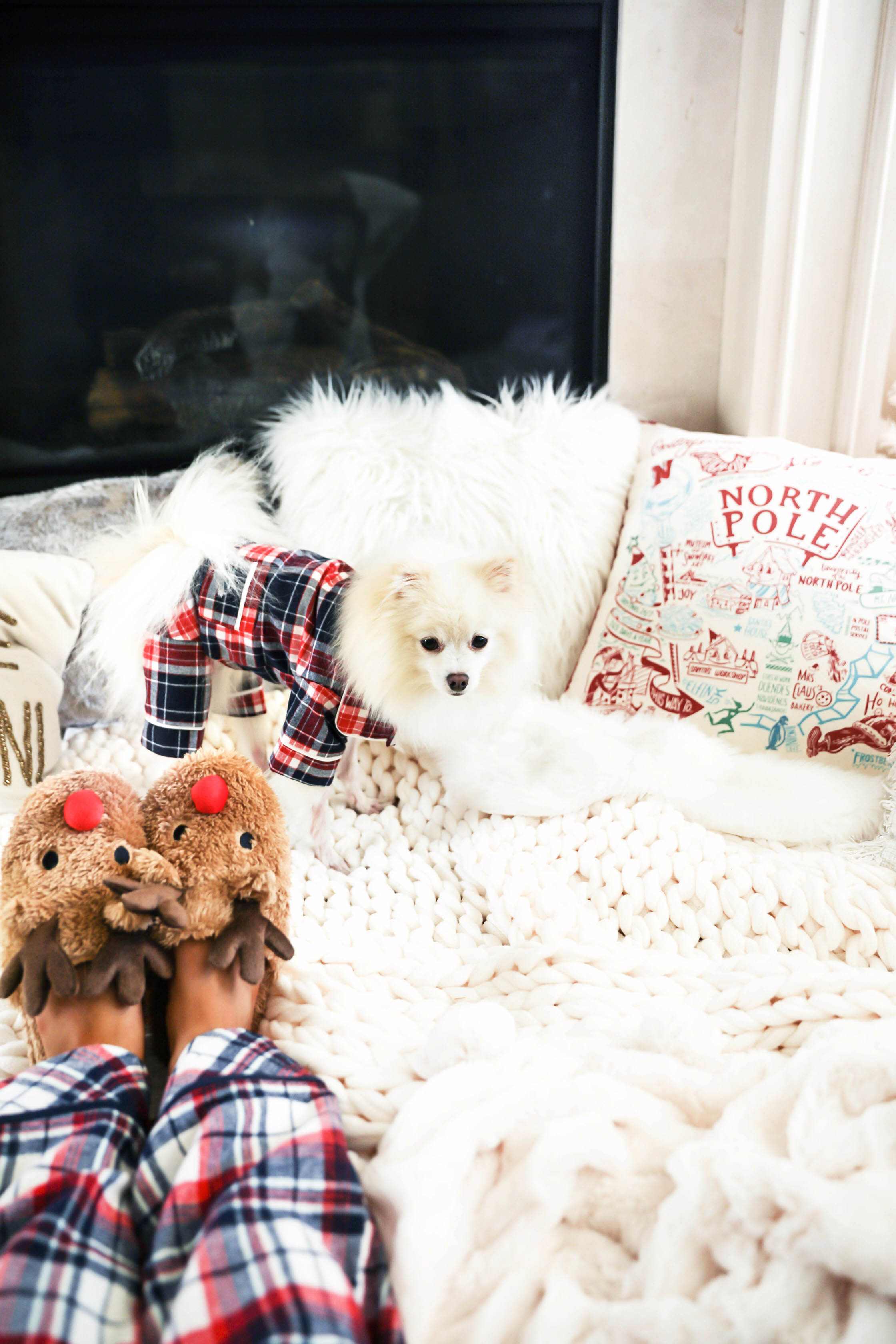 Matching pajamas with dog! Cute plaid matching pajamas with my white pomeranian! The cutest Pomeranian christmas photos! Details on fashion blog daily dose of charm by lauren lindmark