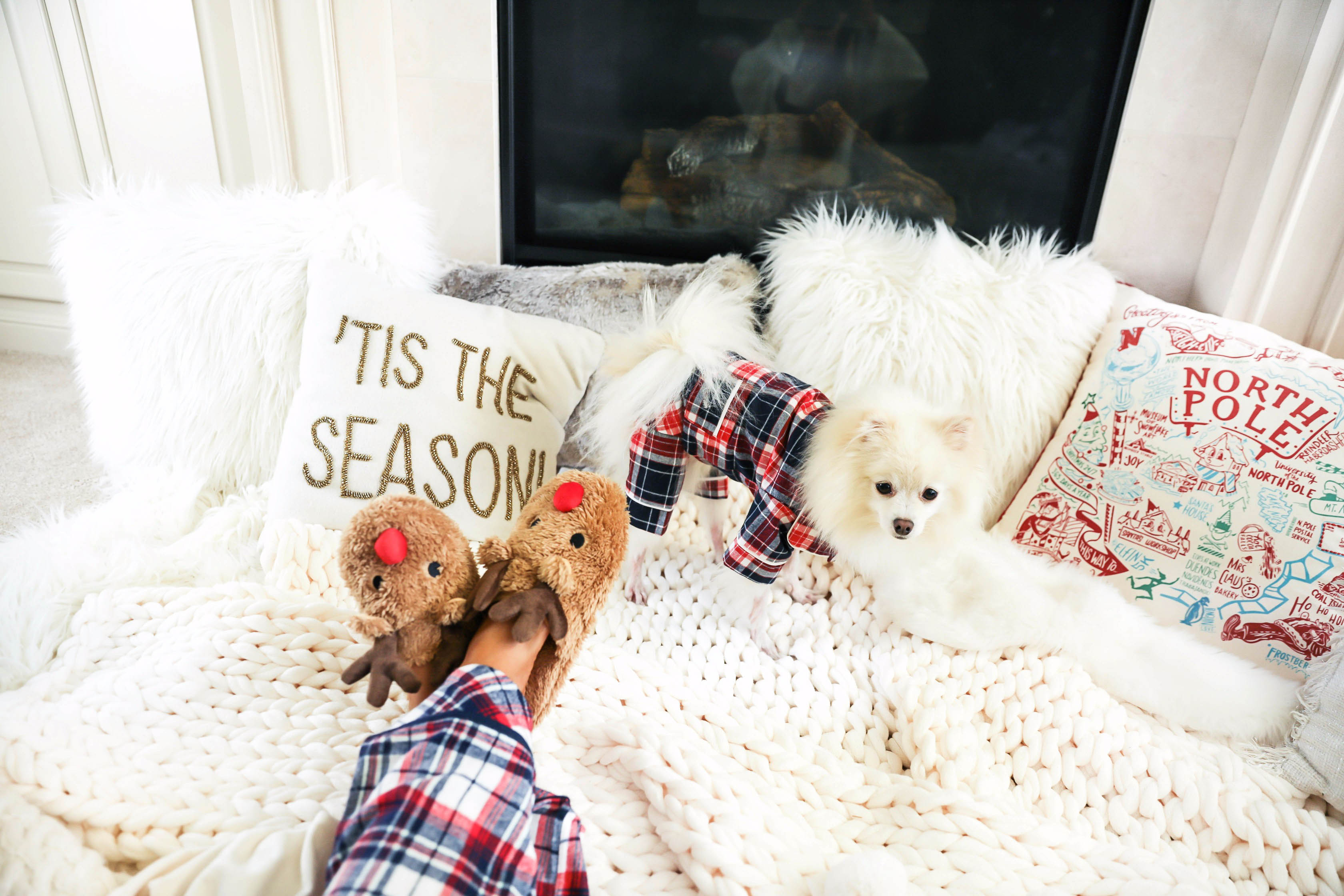 Matching pajamas with online puppy