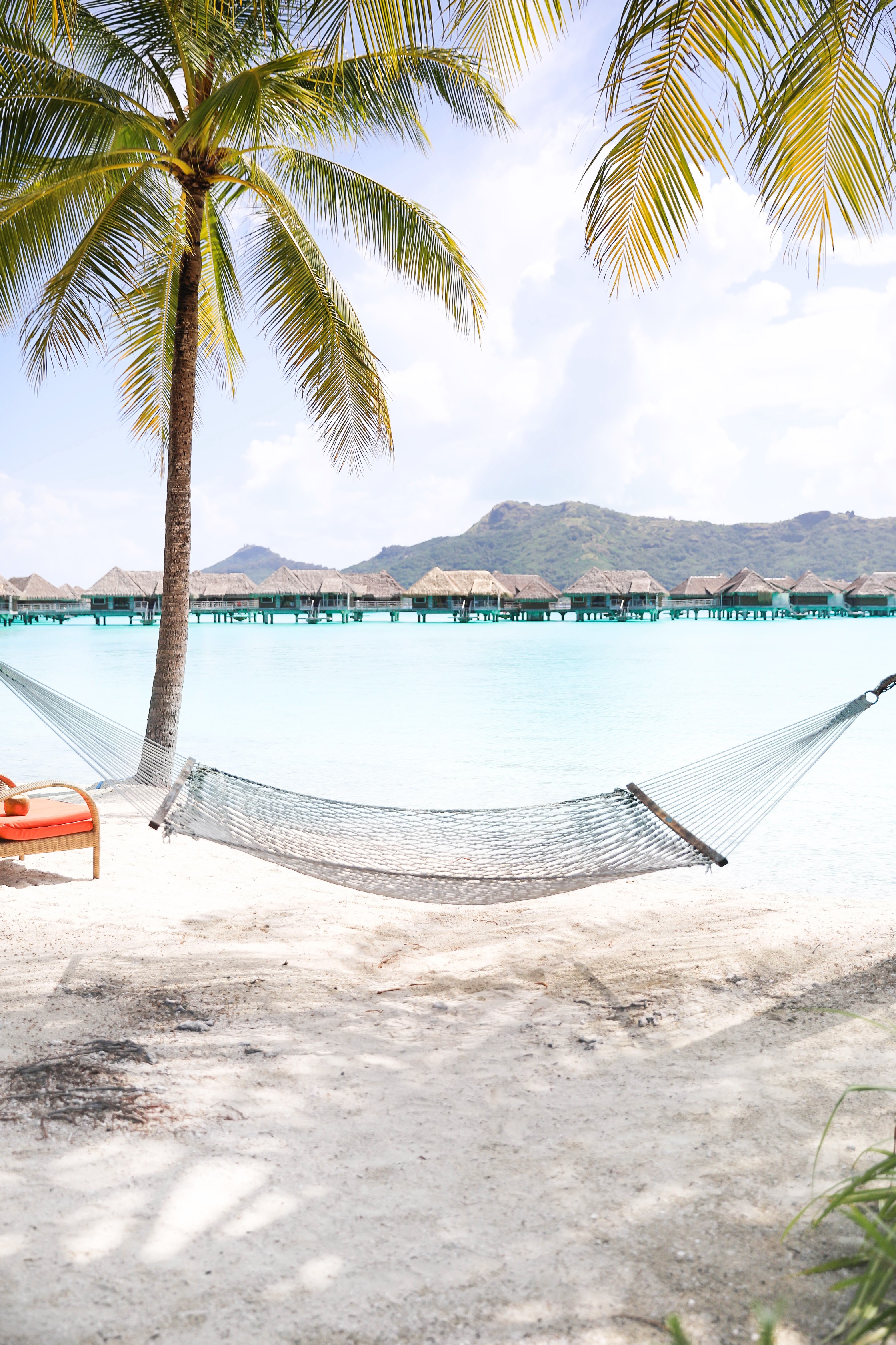 Bora Bora beach! Beautiful palm tree on beach with turquoise blue water! Hammock on the beach! Details on travel blog and fashion blog daily dose of charm by lauren lindmark