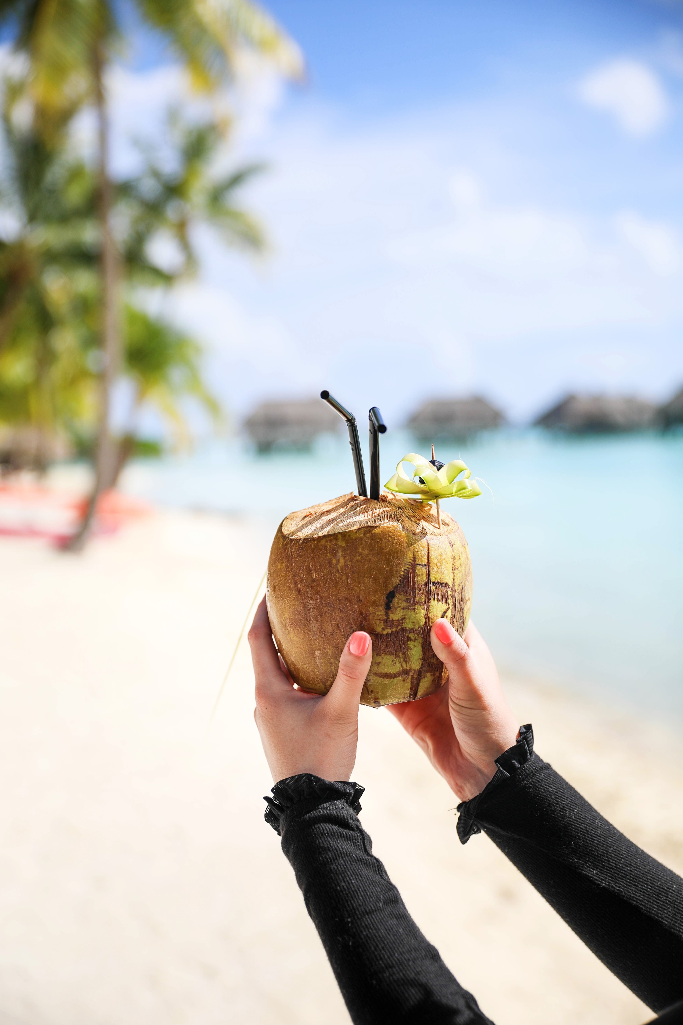 Coconut drink in bora bora, French Polynesia at the Intercontinental Hotel Thelasso! Cute beach photo and vacation photo inspiration! This black two piece high waisted long sleeve swimsuit bikini is my favorite! Details on travel blog Daily Dose of Charm by fashion blogger Lauren lindmark! 