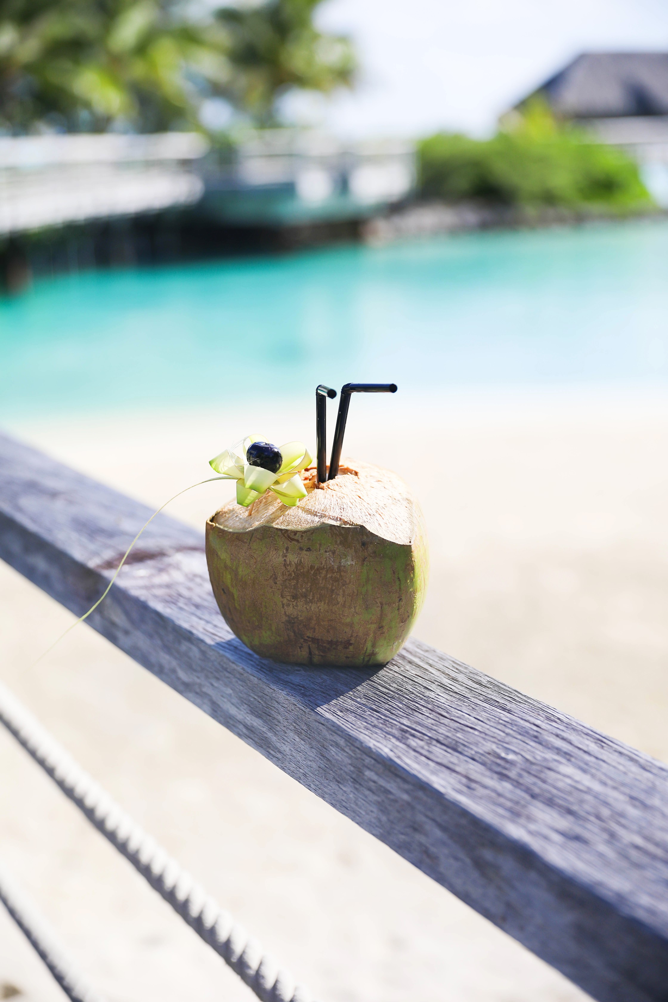 Coconut drink in bora bora, French Polynesia at the Intercontinental Hotel Thelasso! Cute beach photo and vacation photo inspiration! This black two piece high waisted long sleeve swimsuit bikini is my favorite! Details on travel blog Daily Dose of Charm by fashion blogger Lauren lindmark! 