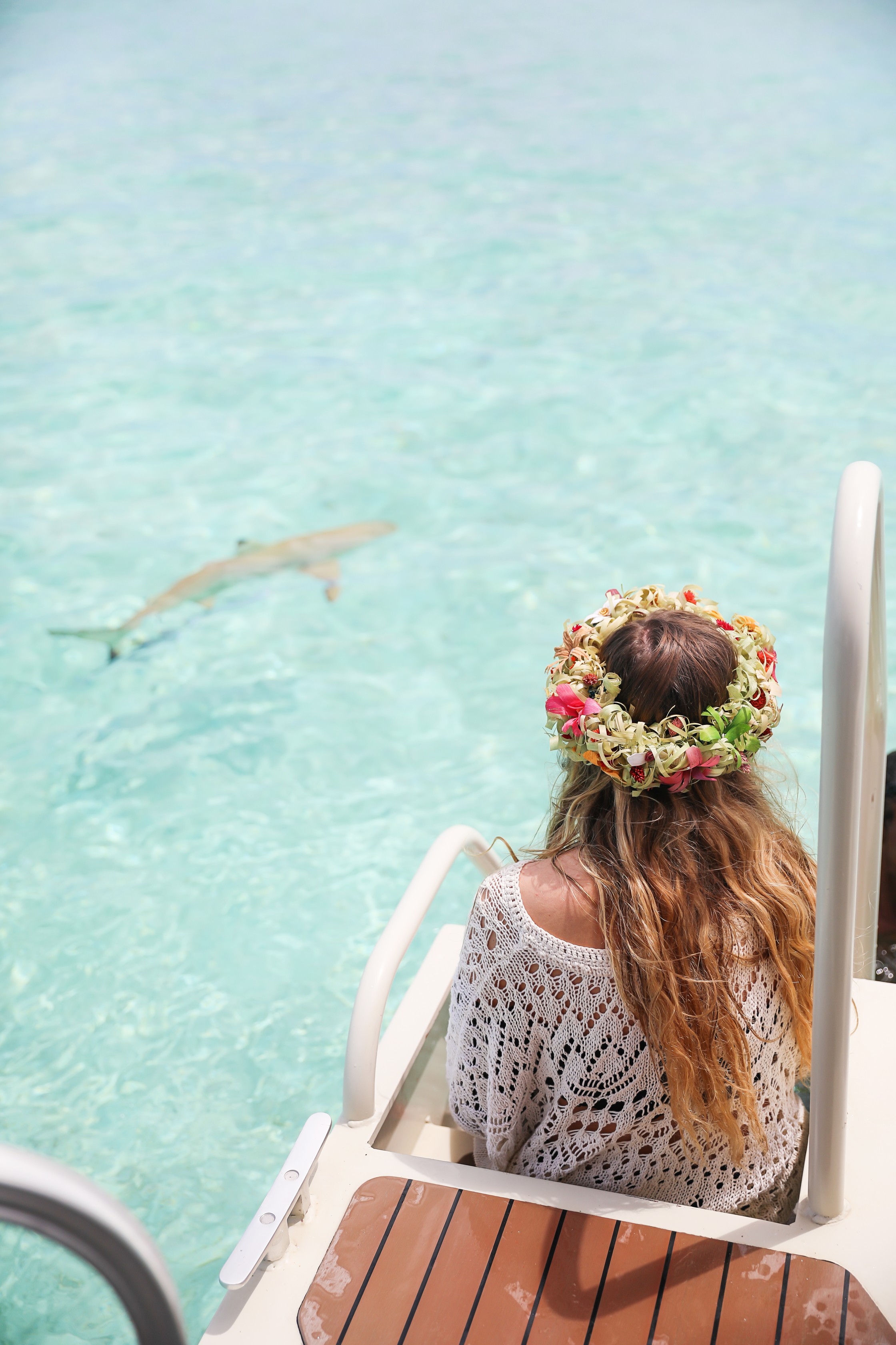 Swimming with sharks in Bora Bora, French Polynesia! I wore the prettiest Bora Bora flower crown by the ocean! The water was so clear and blue! Details on travel blog daily dose of charm by travel blogger and fashion blogger lauren lindmark