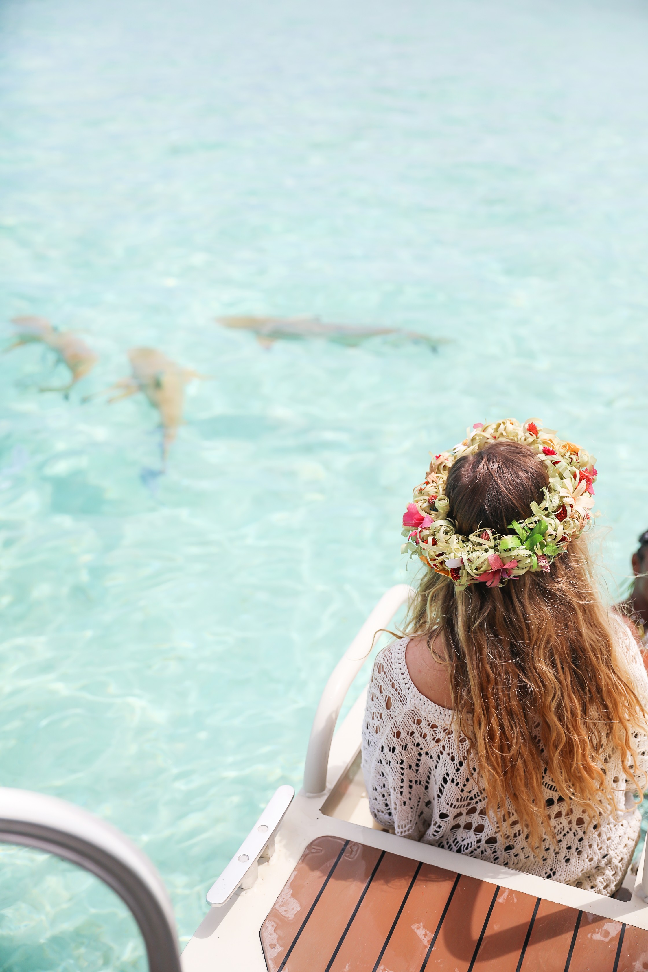 Swimming with sharks in Bora Bora, French Polynesia! I wore the prettiest Bora Bora flower crown by the ocean! The water was so clear and blue! Details on travel blog daily dose of charm by travel blogger and fashion blogger lauren lindmark