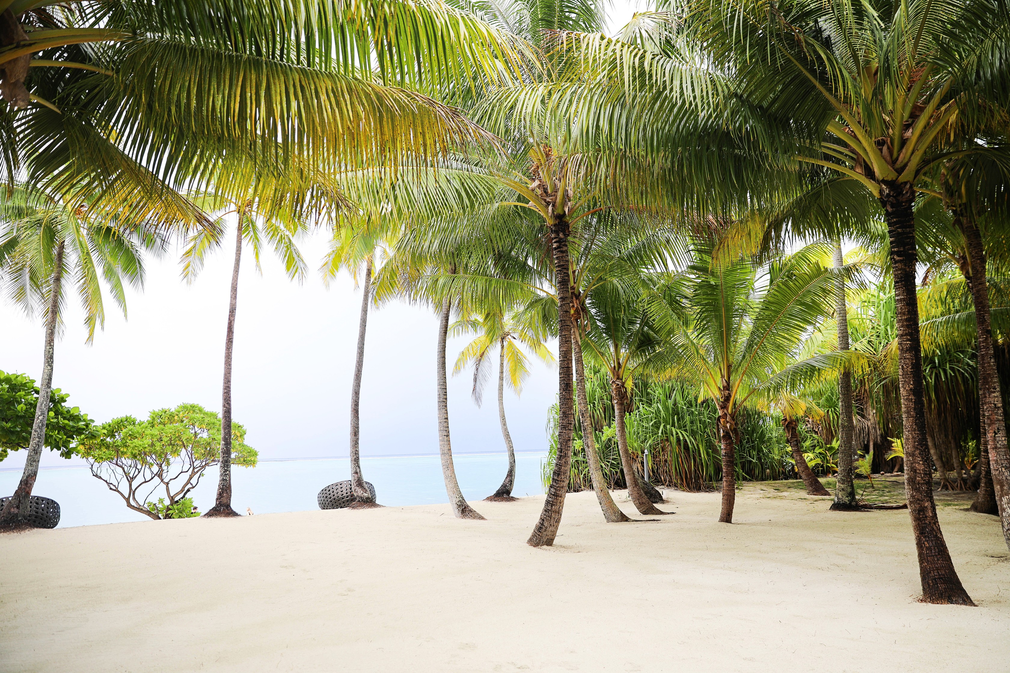 The Brando in Tetiaroa, French Polynesia resort private island villa tour blog daily dose of charm by lauren lindmark