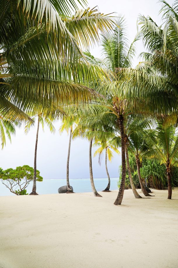 Villa Tour at The Brando on the Island of Tetiaroa, French Polynesia ...