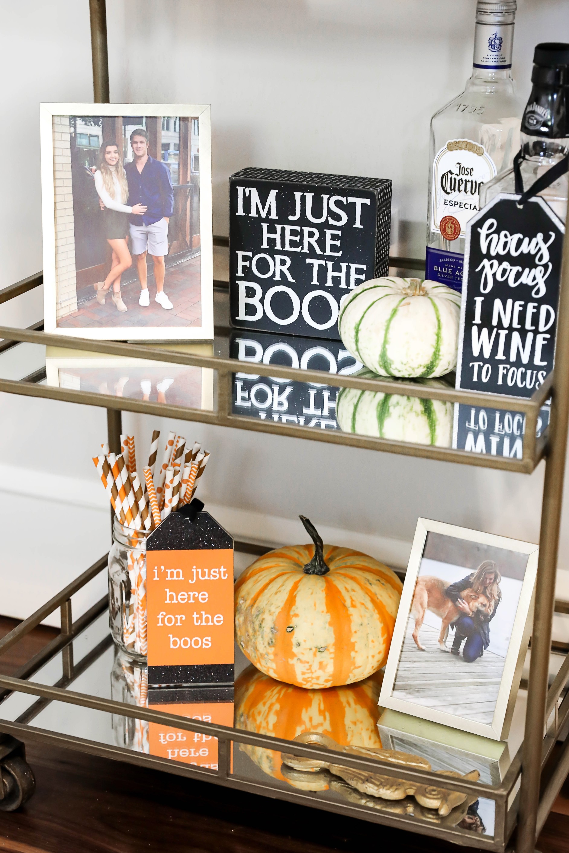 Fall bar cart ideas and fall room decor ideas! Inspiration for white and bright room! Check out this fashion blogger's room tour! I love decorating my house for autumn! Details on fashion and lifestyle blog daily dose of charm by lauren lindmark