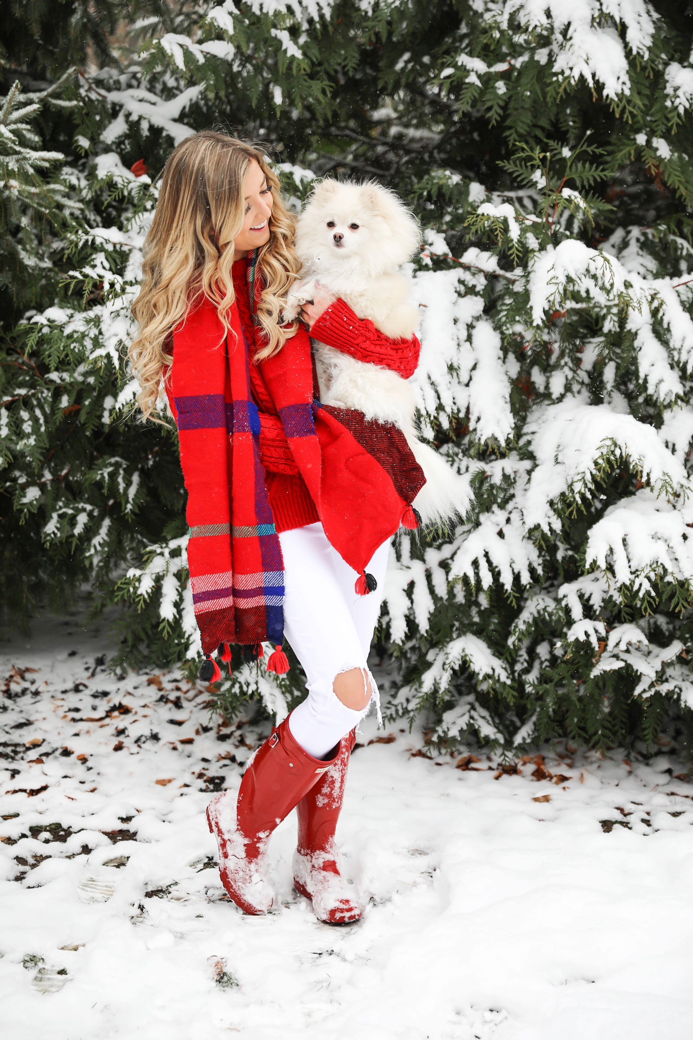 Christmas card photos in the snow! I took my holiday card photos with my cute little white pomeranian. I love when people do their holiday pictures with their dog! This is such a cute winter outfit idea for the holidays! Details on fashion blog daily dose of charm by lauren lindmark