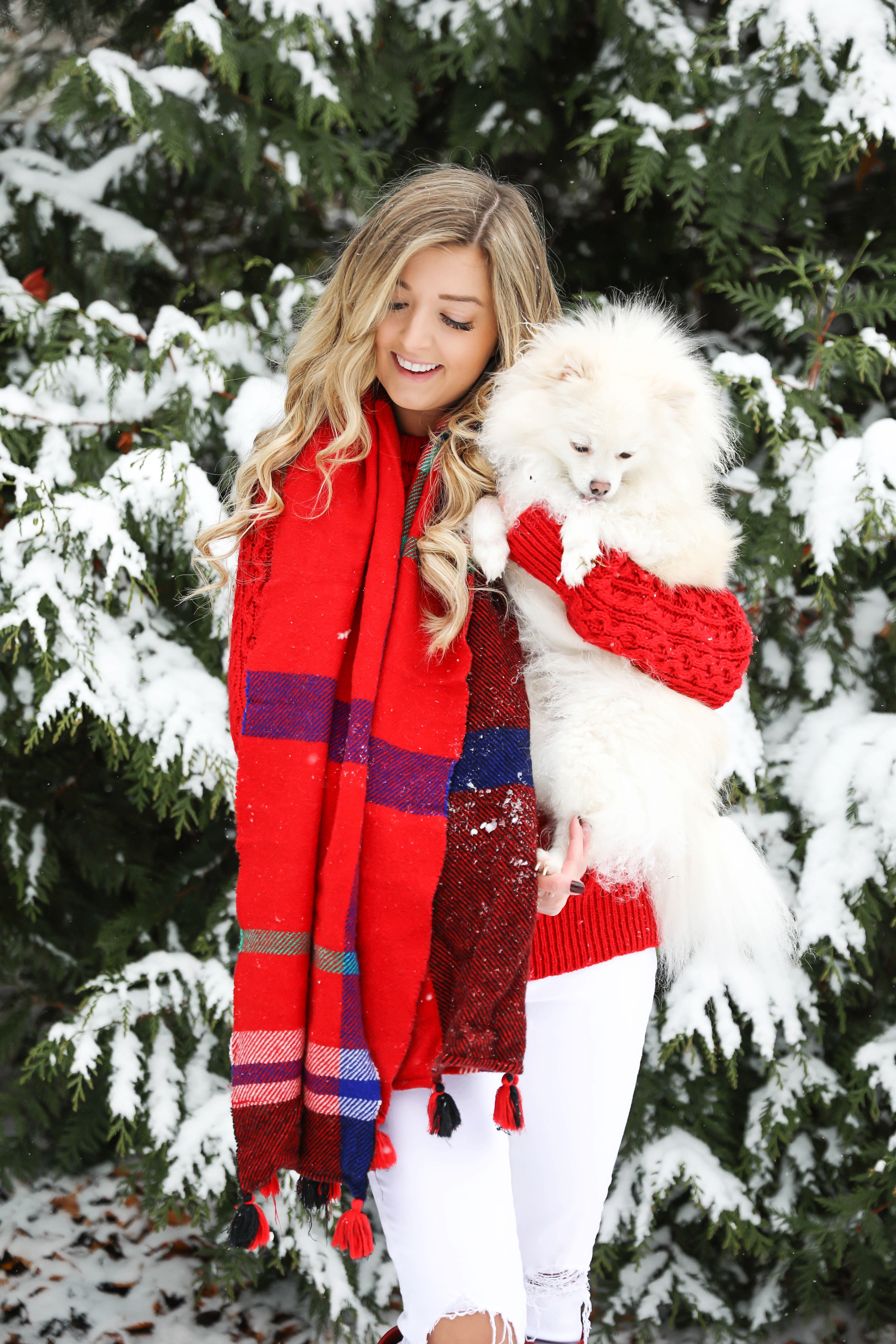Christmas card photos in the snow! I took my holiday card photos with my cute little white pomeranian. I love when people do their holiday pictures with their dog! This is such a cute winter outfit idea for the holidays! Details on fashion blog daily dose of charm by lauren lindmark