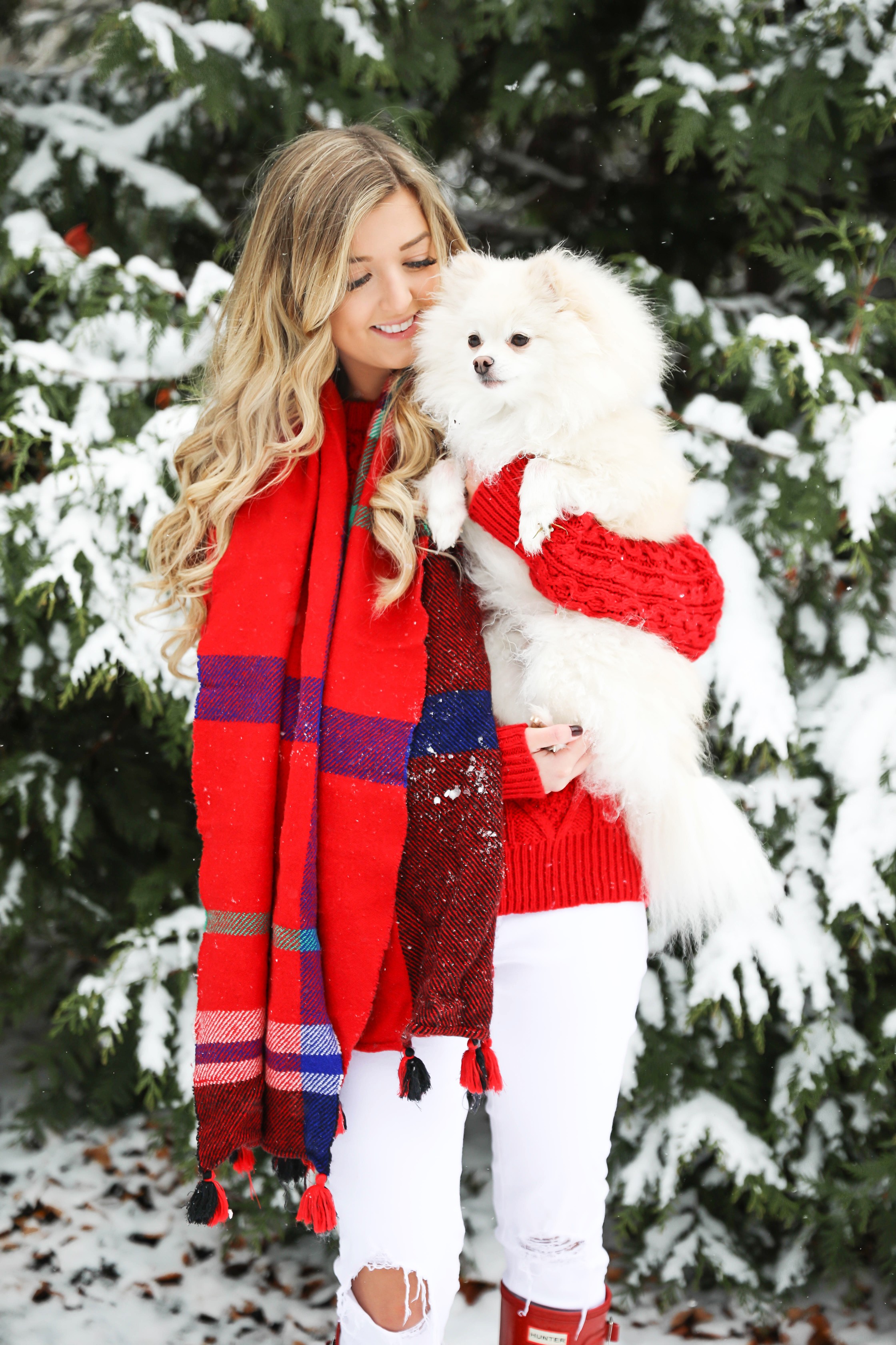 Christmas card photos in the snow! I took my holiday card photos with my cute little white pomeranian. I love when people do their holiday pictures with their dog! This is such a cute winter outfit idea for the holidays! Details on fashion blog daily dose of charm by lauren lindmark