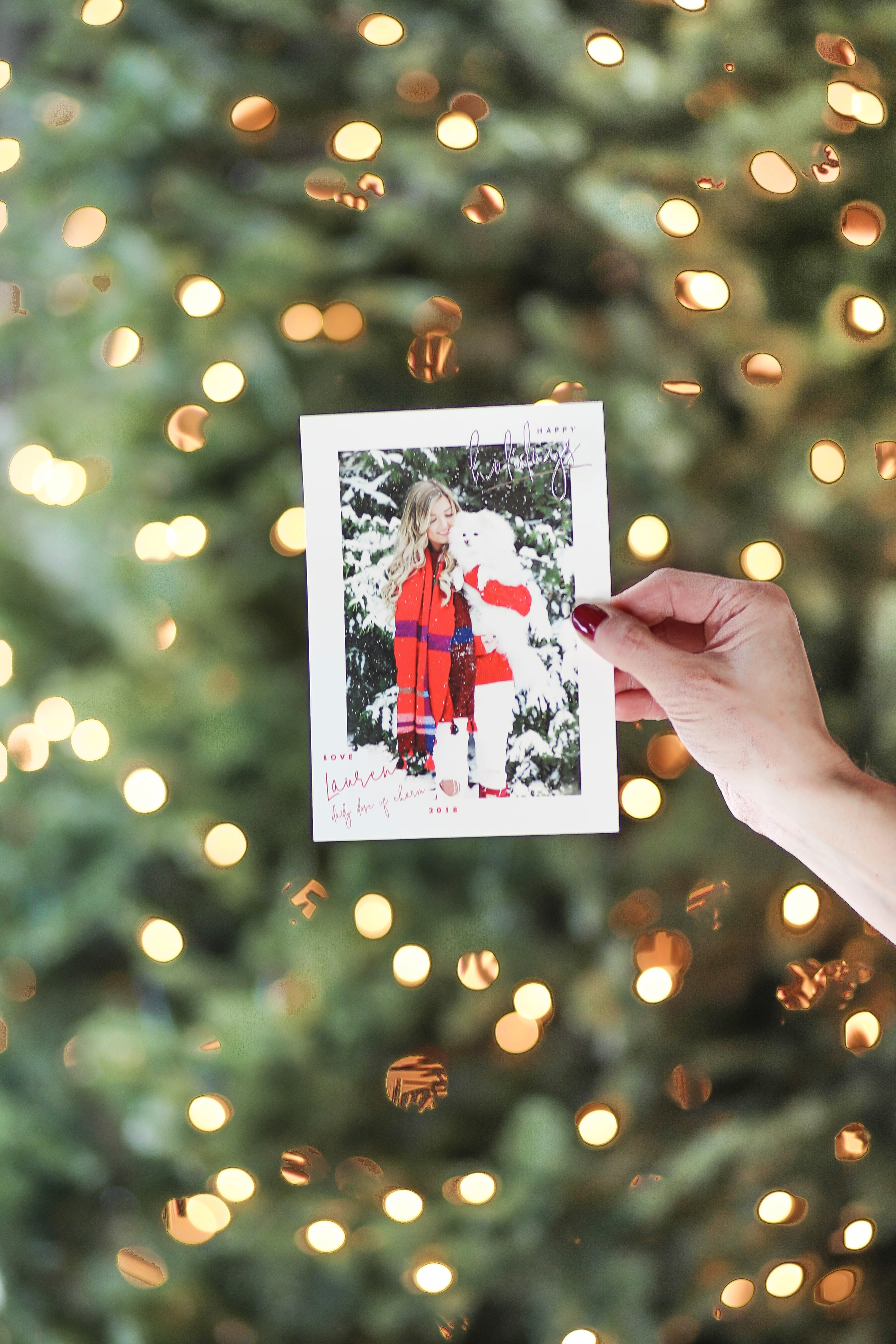 Christmas photos from Minted! The cutest holiday photos with my white pomeranian and German shephard! Dog holiday pictures are so cute! I am wearing this cute cable knit red sweater and beanie. All details on fashion blog daily dose of charm by lauren lindmark