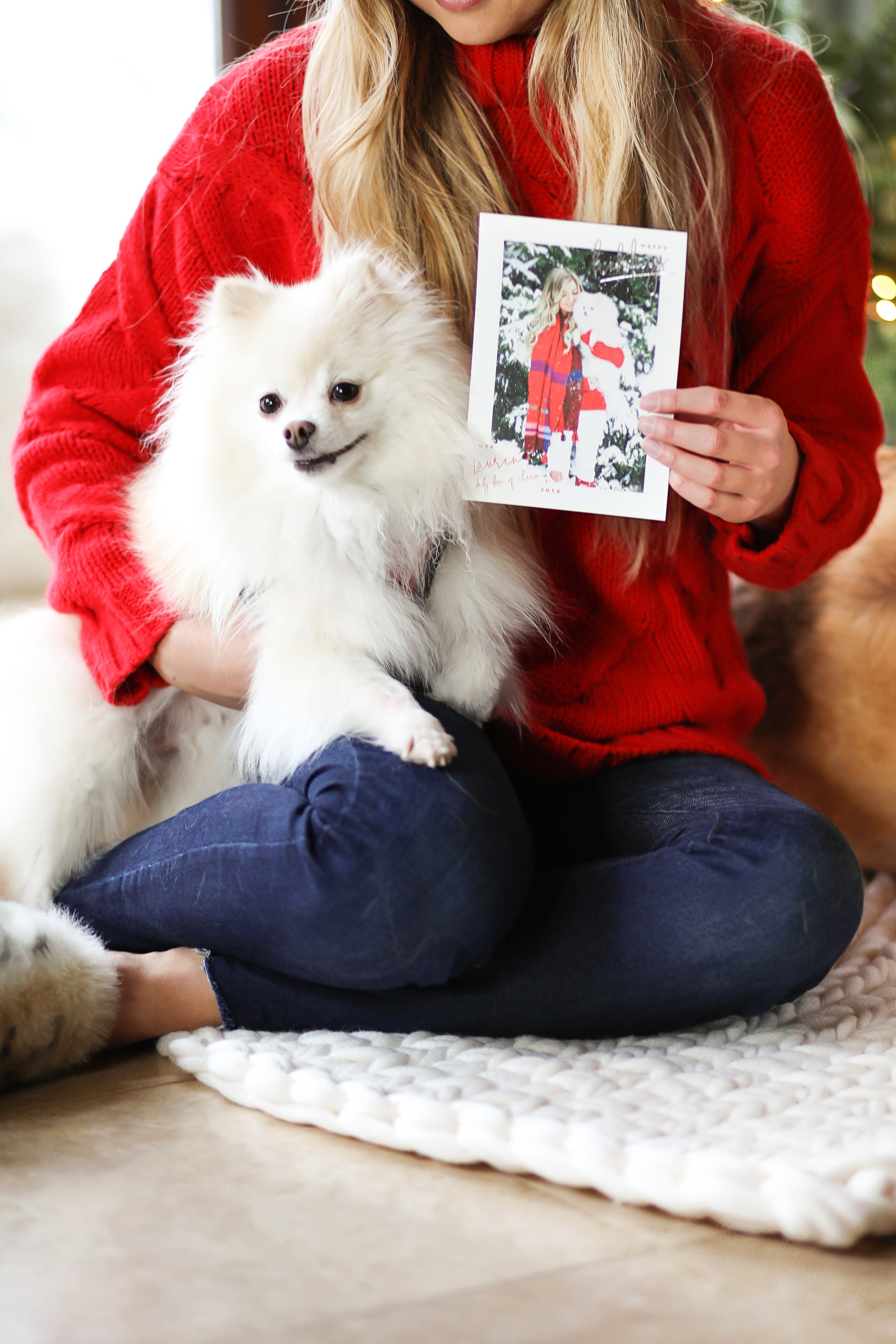 Christmas photos from Minted! The cutest holiday photos with my white pomeranian and German shephard! Dog holiday pictures are so cute! I am wearing this cute cable knit red sweater and beanie. All details on fashion blog daily dose of charm by lauren lindmark