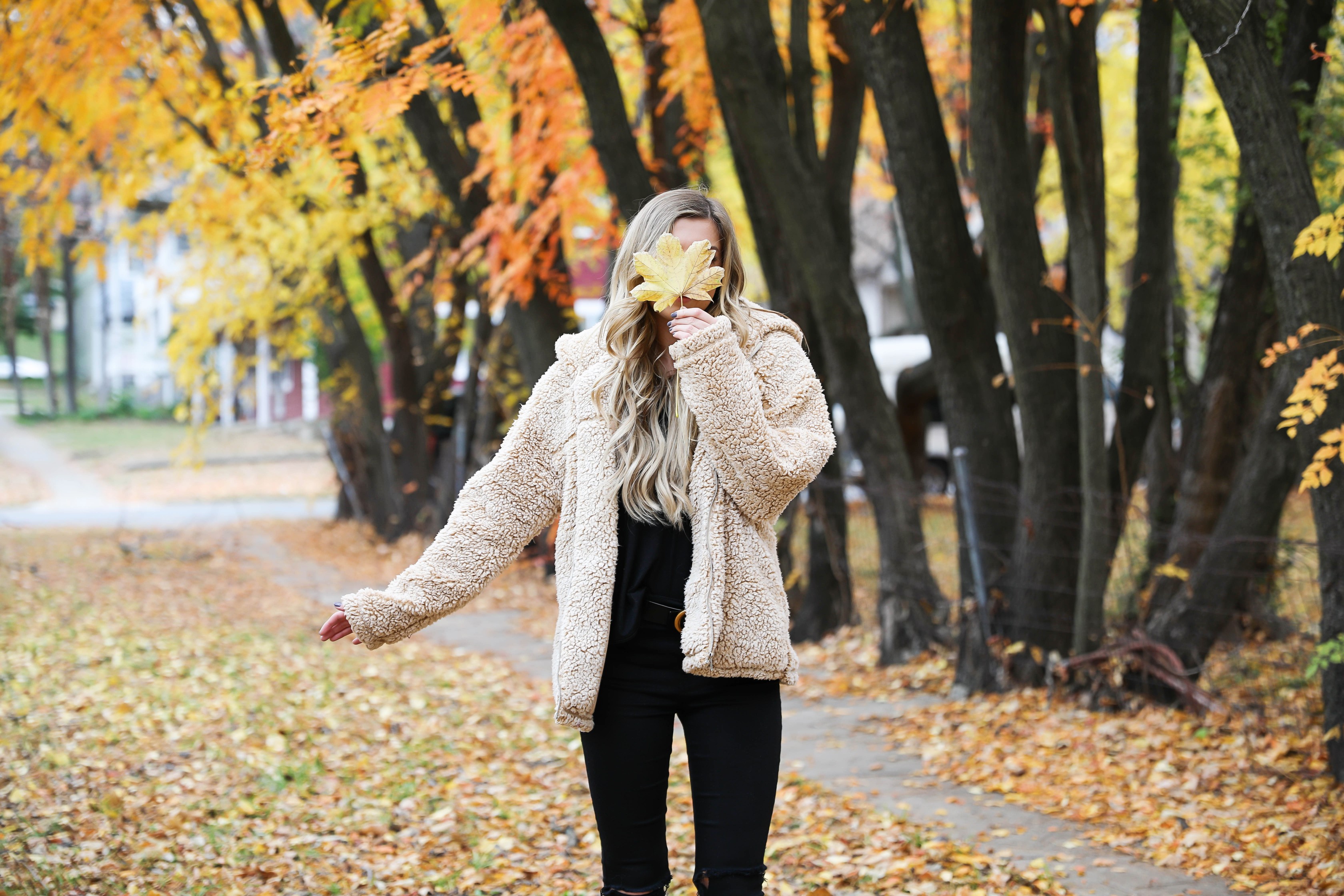 Teddy bear coat roundup! All the comfiest teddy bear fuzzy coats are linked on my blog! I paired mine with an all black outfit and my gucci belt! These are the prettiest photos taken in the fall leaves. Autumn trees are the best! Details on fashion blog daily dose of charm by lauren lindmark