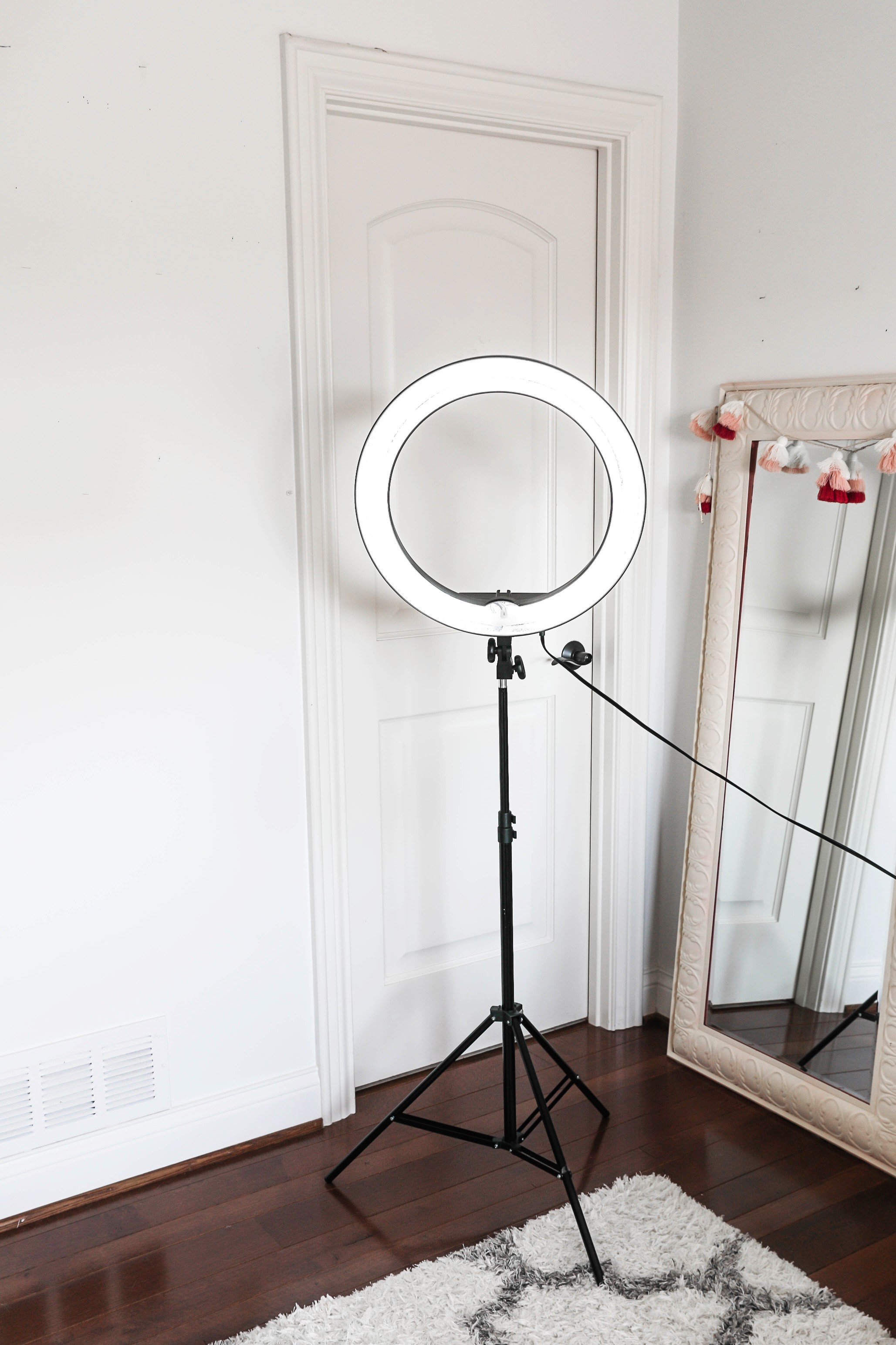 Amazon haul life hacks ringlight lighting kit lifestyle fashion blog daily dose of charm lauren lindmark