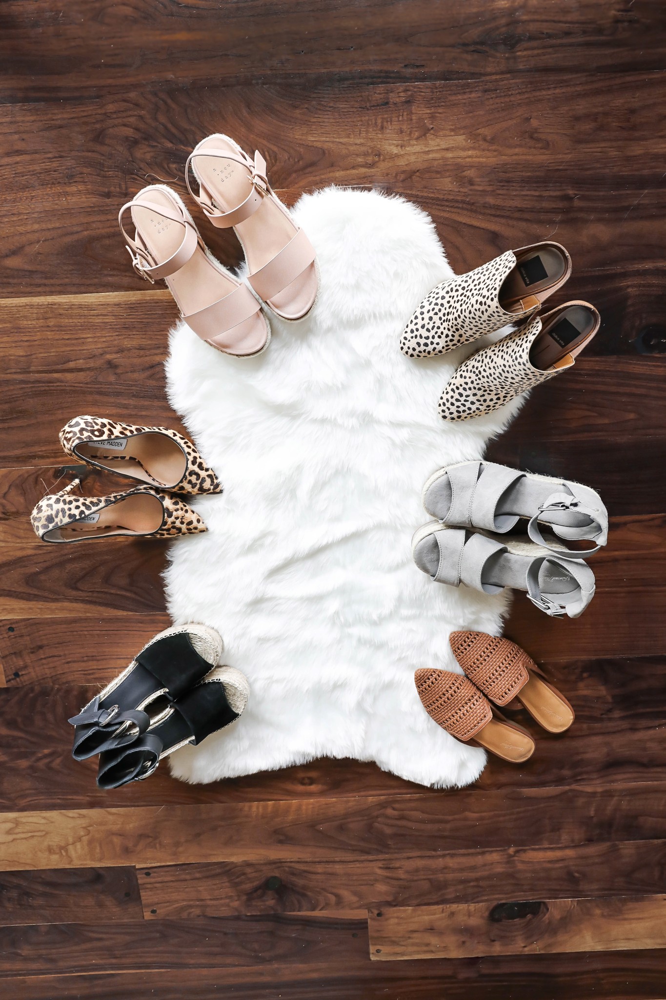 Spring shoe roundup 2019! All the cutest sandals, leopard heels, wedges, sneakers and more! All from target and Nordstrom! The cutest boutique photo Inso on white rugs! Details on fashion blog daily dose of charm by lauren lindmark