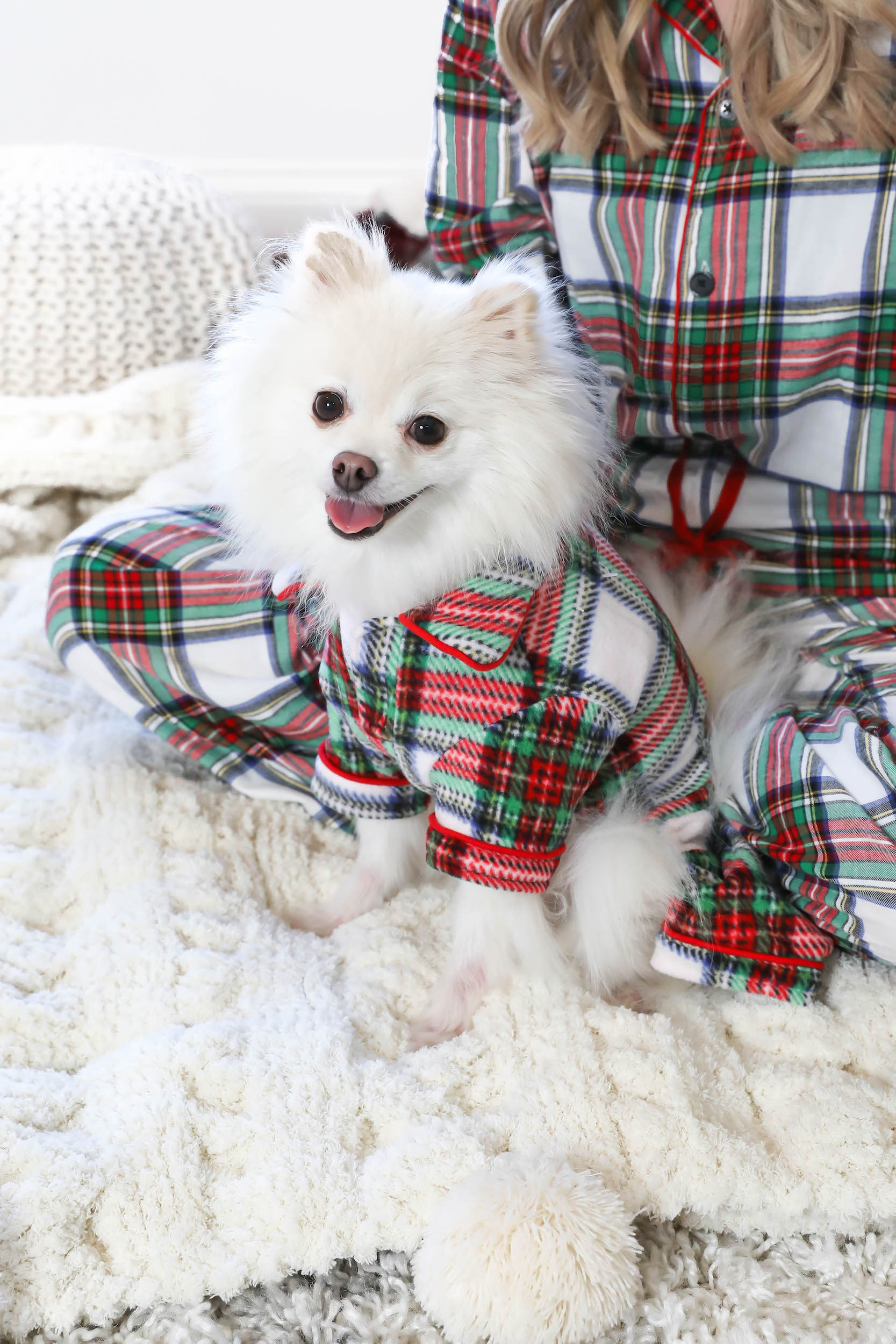 My Christmas Card 2019 Matching PJs with My Dog Lauren Emily