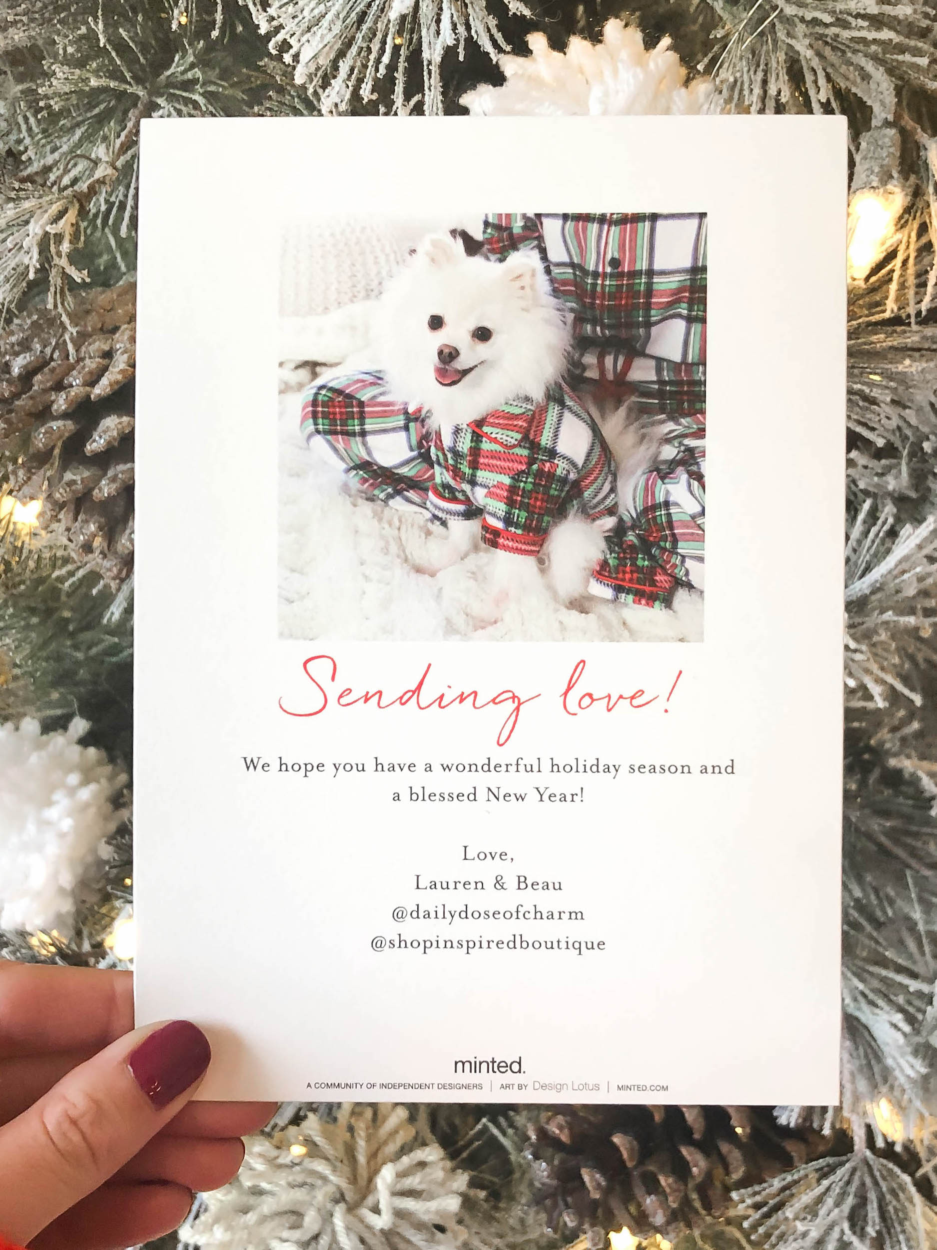 My Christmas Card 2019 Matching Pjs With My Dog Daily Dose Of Charm