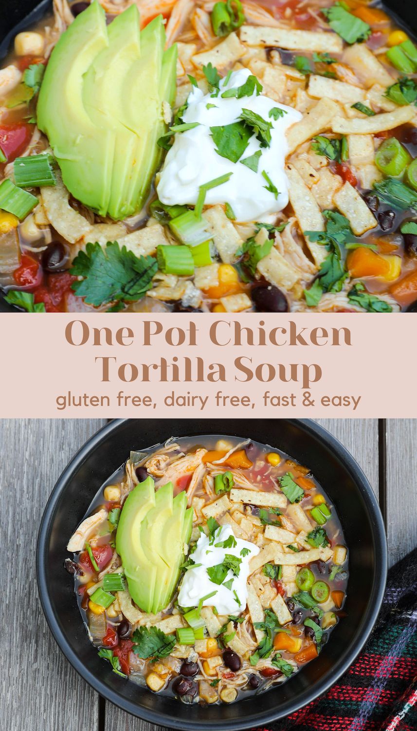 Chicken Tortilla Soup One Pot Gluten free dairy free lauren emily lindmark daily dose of charm 4