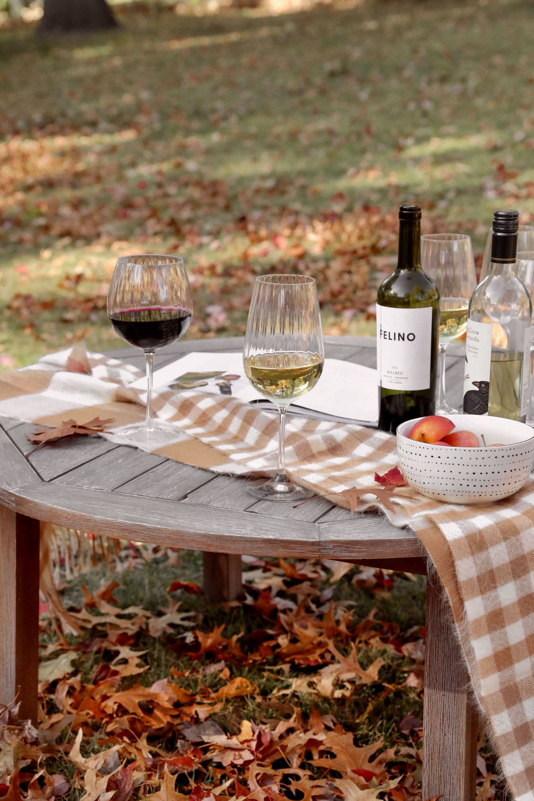 https://dailydoseofcharm.com/wp-content/uploads/2022/10/Ribbed-wine-glasses-red-white-fall-picnic-lauren-emily-lindmark-daily-dose-of-charm--scaled.jpg