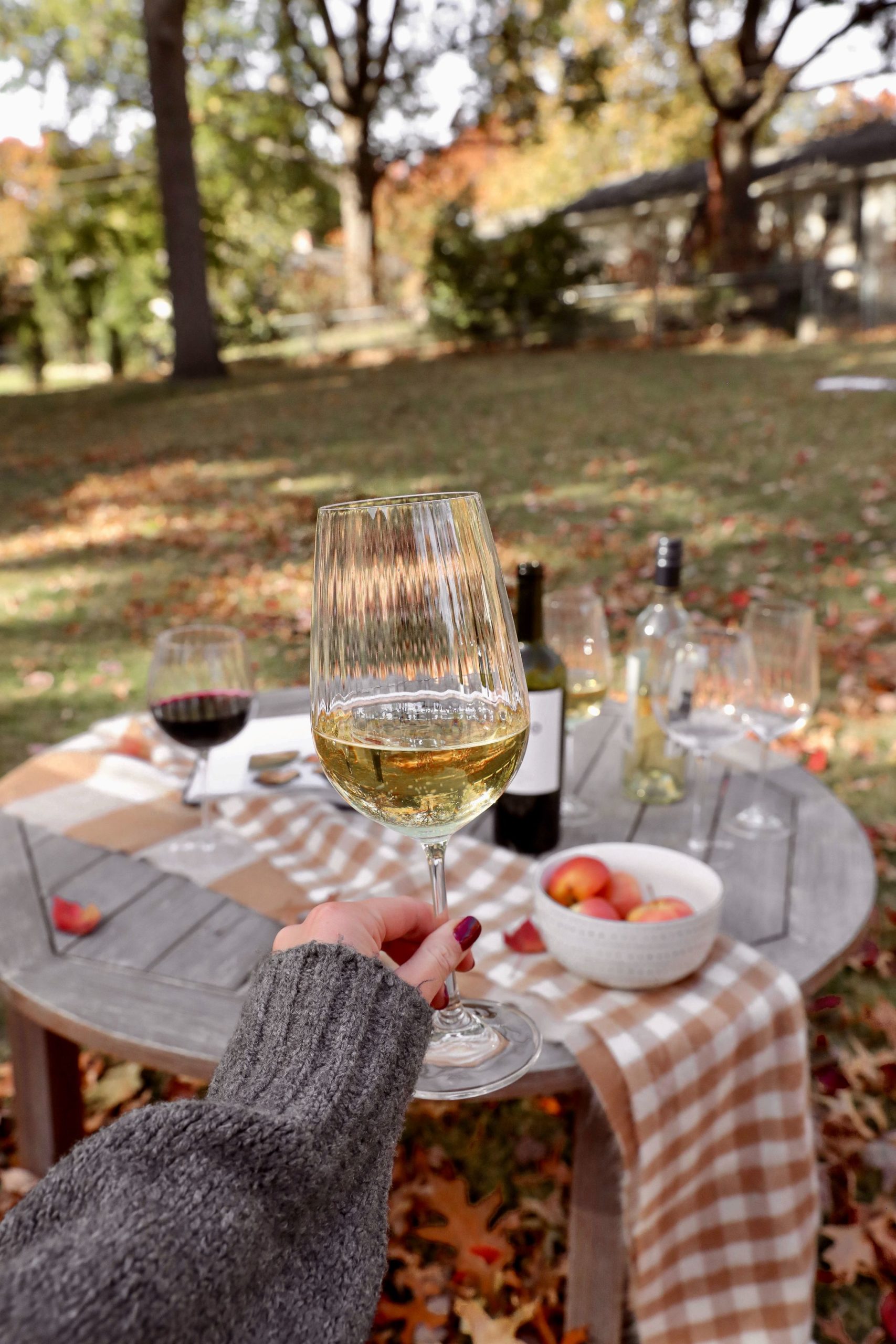 https://dailydoseofcharm.com/wp-content/uploads/2022/10/Ribbed-wine-glasses-red-white-fall-picnic-lauren-emily-lindmark-daily-dose-of-charm-2-scaled.jpg