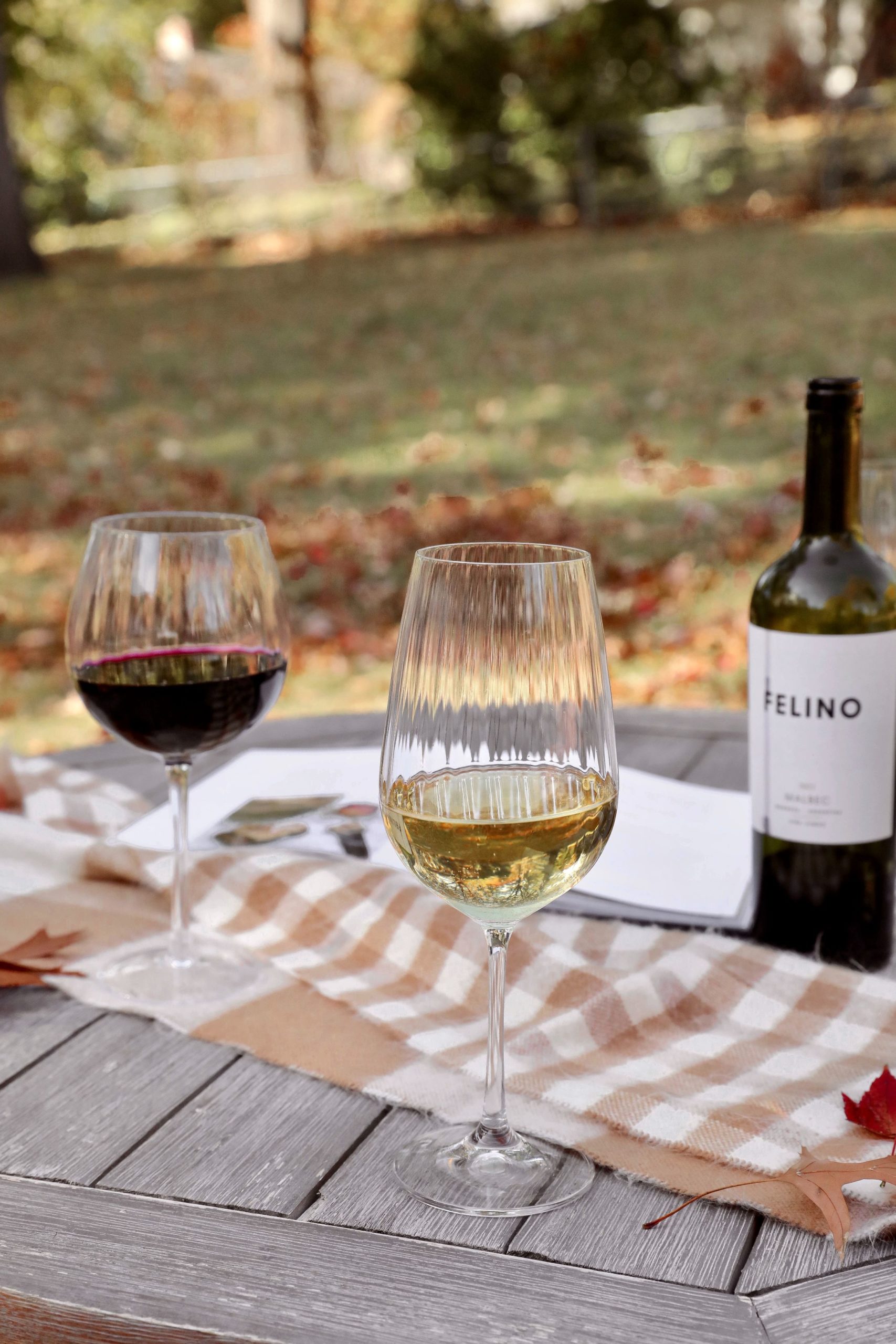 https://dailydoseofcharm.com/wp-content/uploads/2022/10/Ribbed-wine-glasses-red-white-fall-picnic-lauren-emily-lindmark-daily-dose-of-charm-4-scaled.jpg